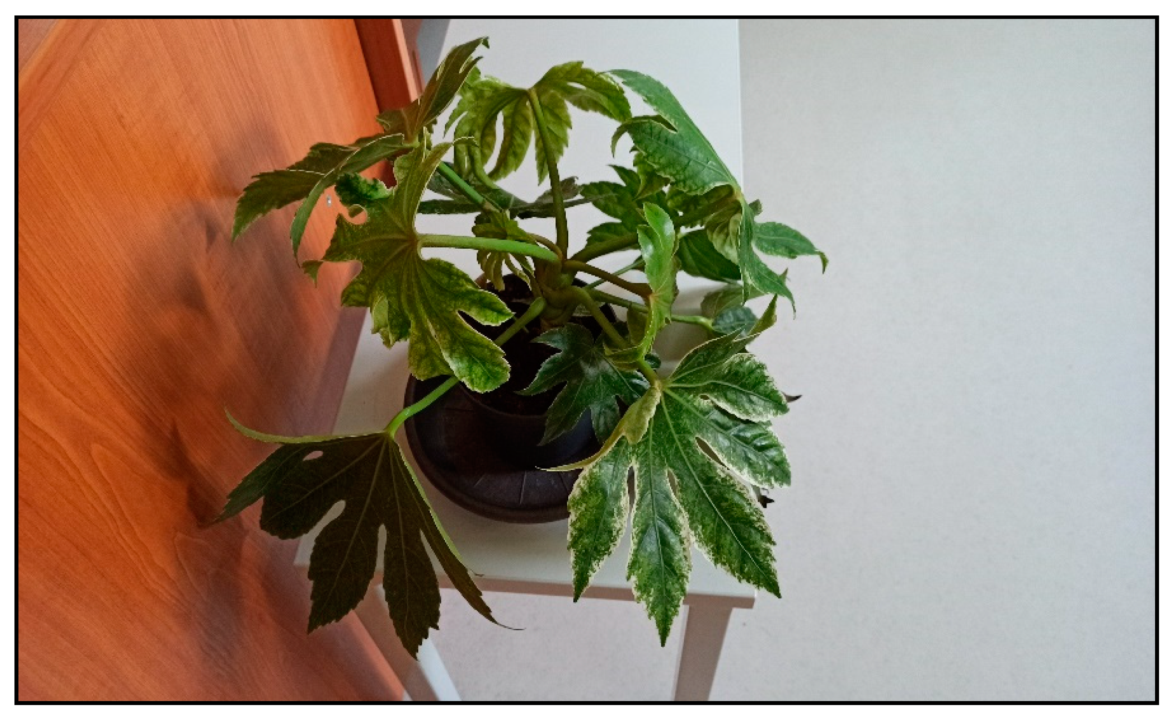 Toxins 15 00346 g026