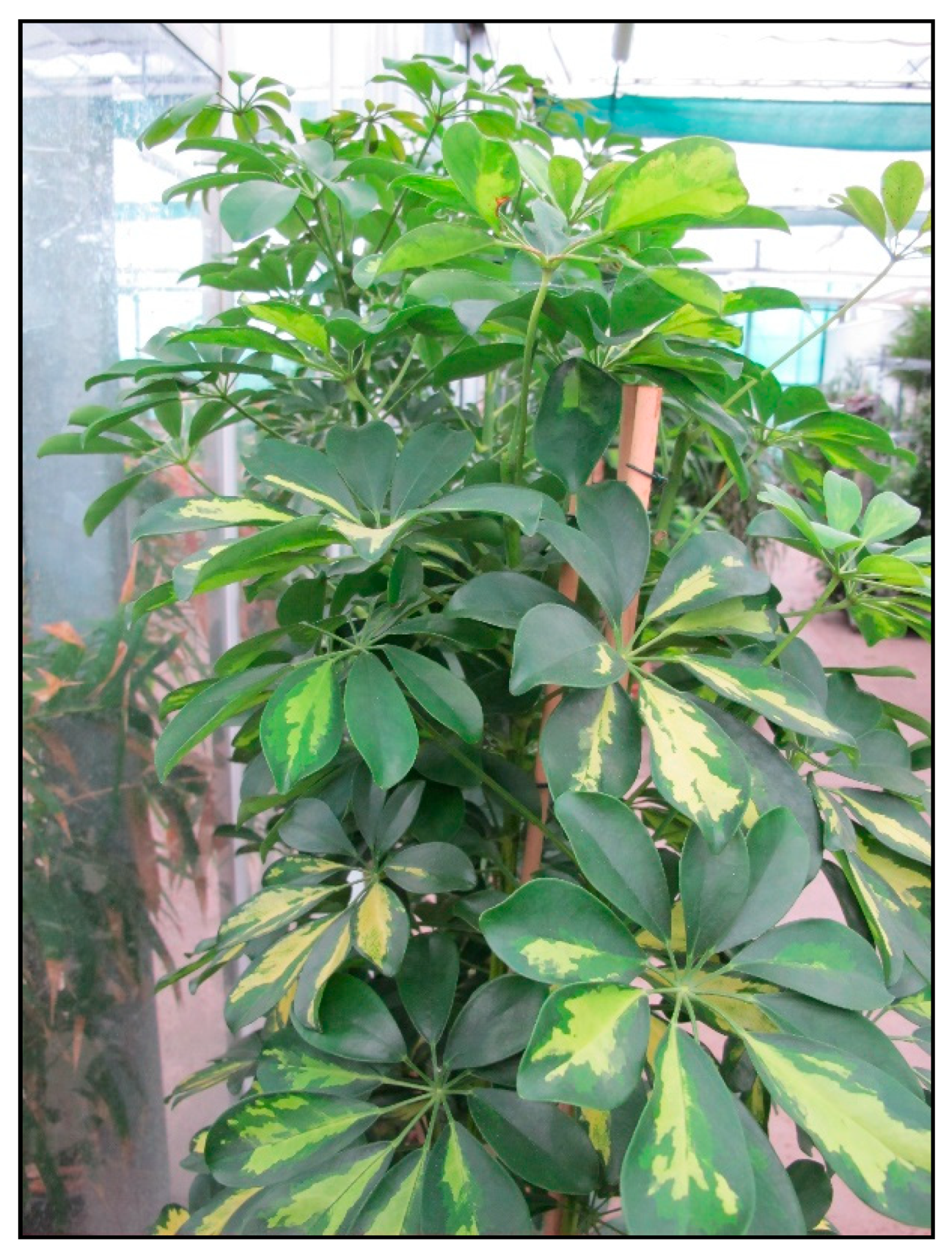 Toxins 15 00346 g027