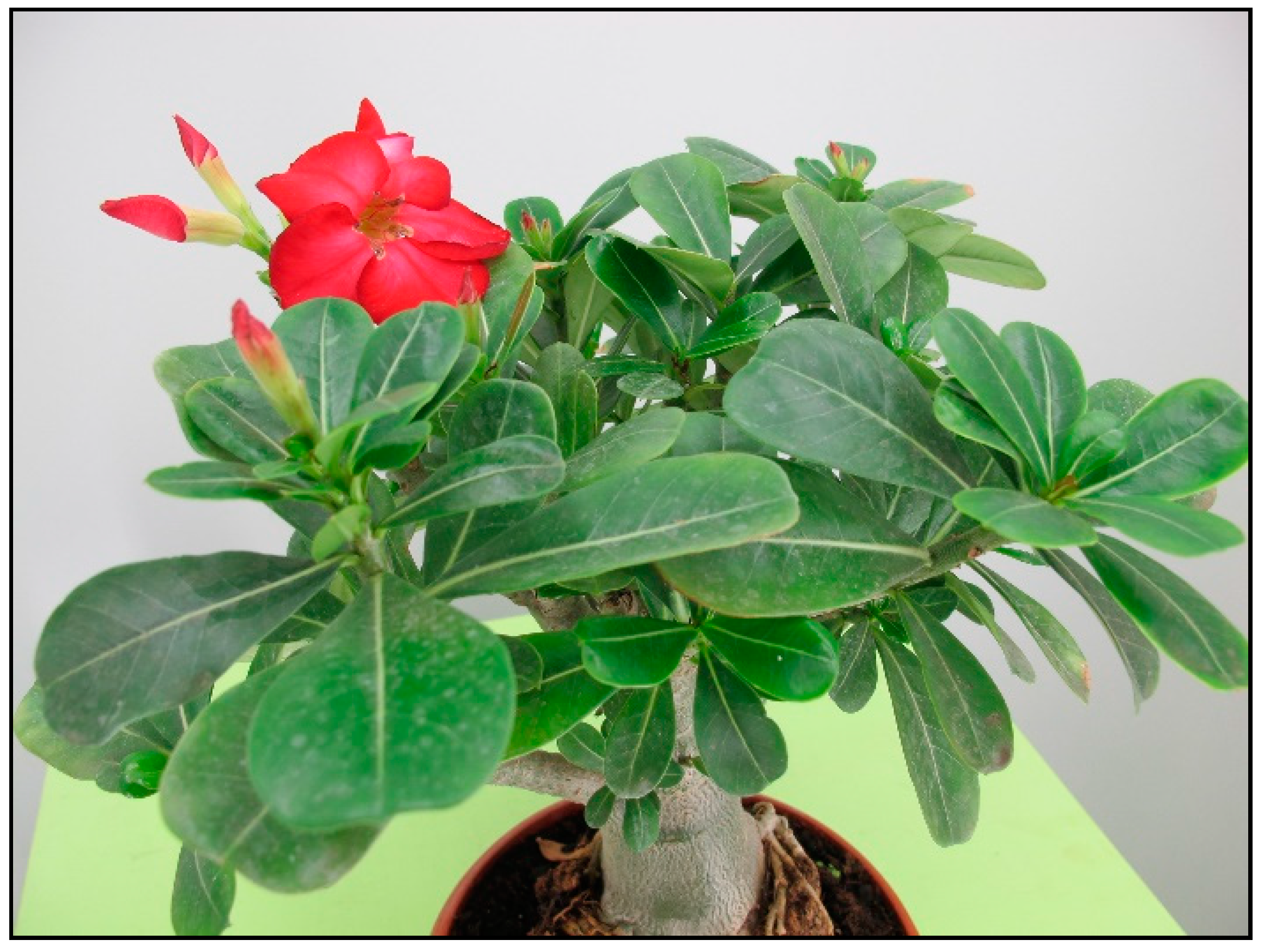 Toxins 15 00346 g030