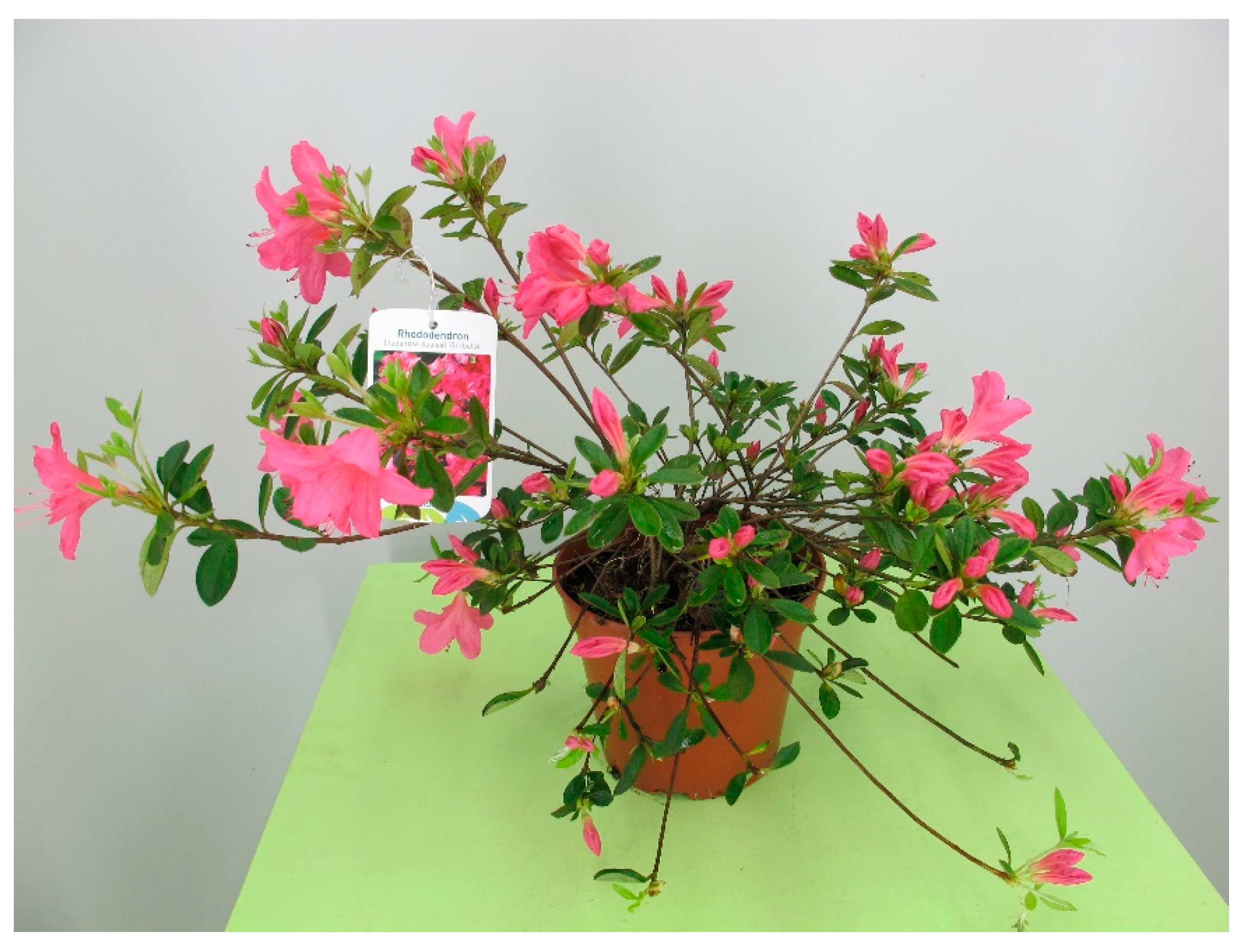 Toxins 15 00346 g034