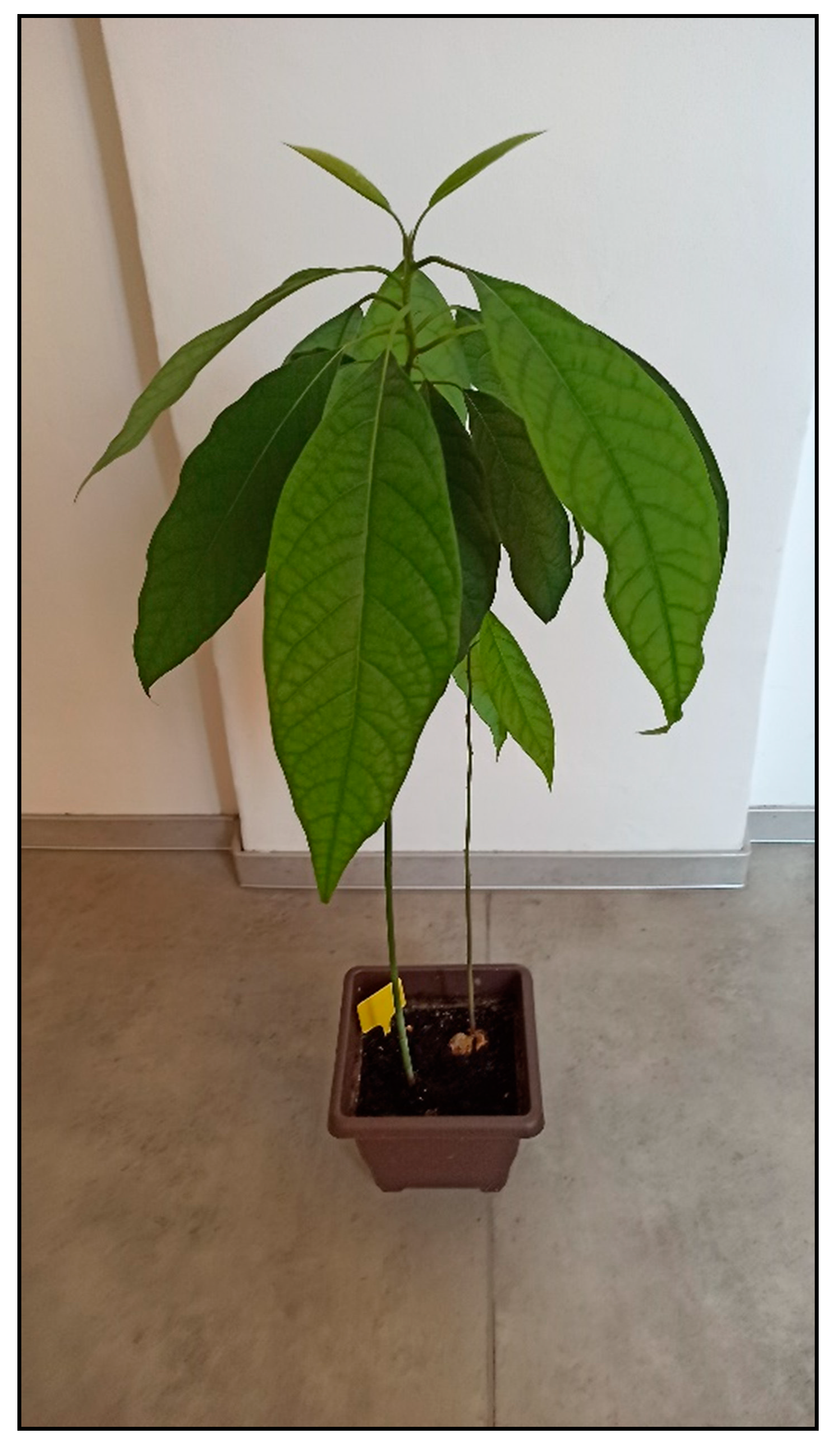 Toxins 15 00346 g035