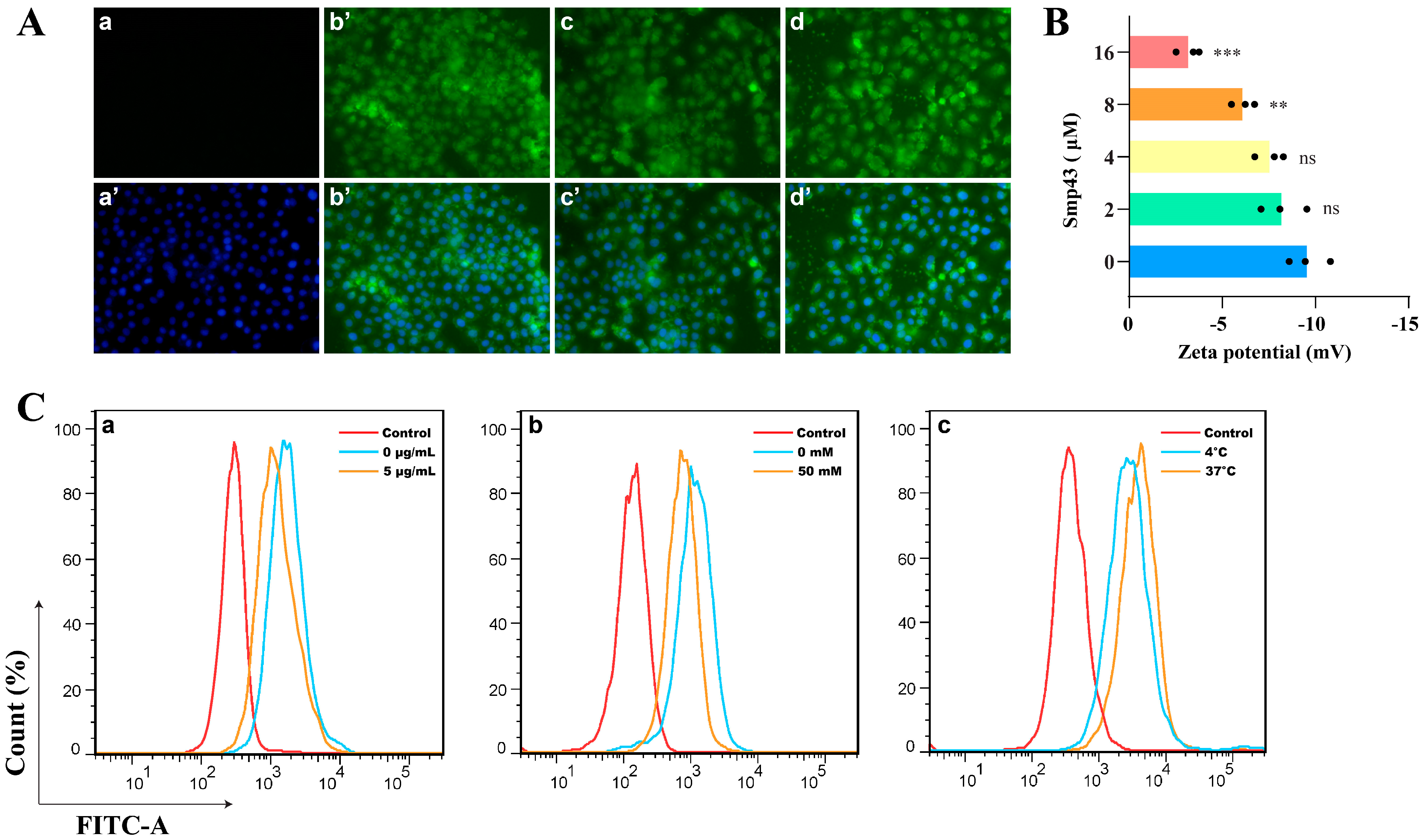Toxins 15 00347 g002