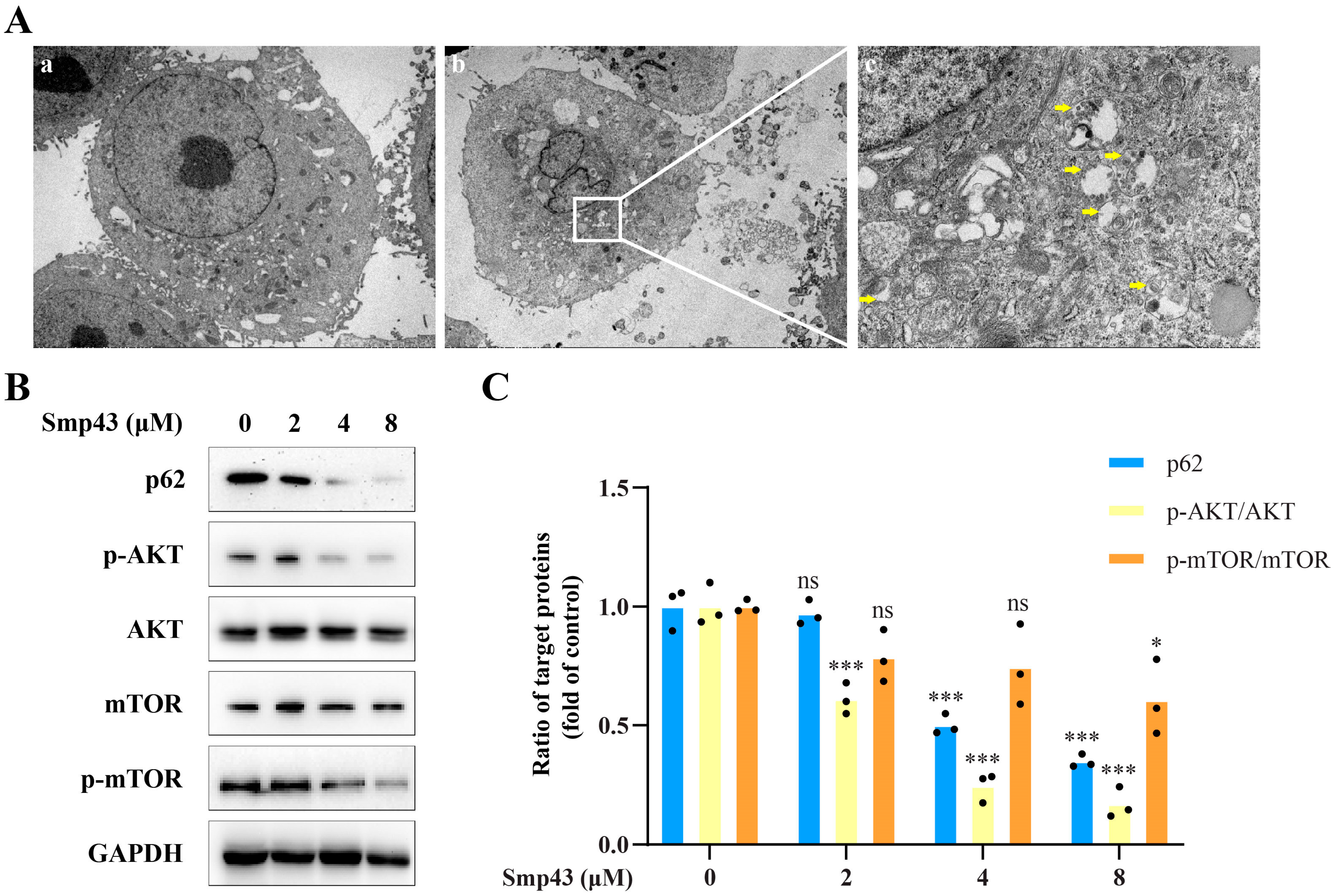 Toxins 15 00347 g007