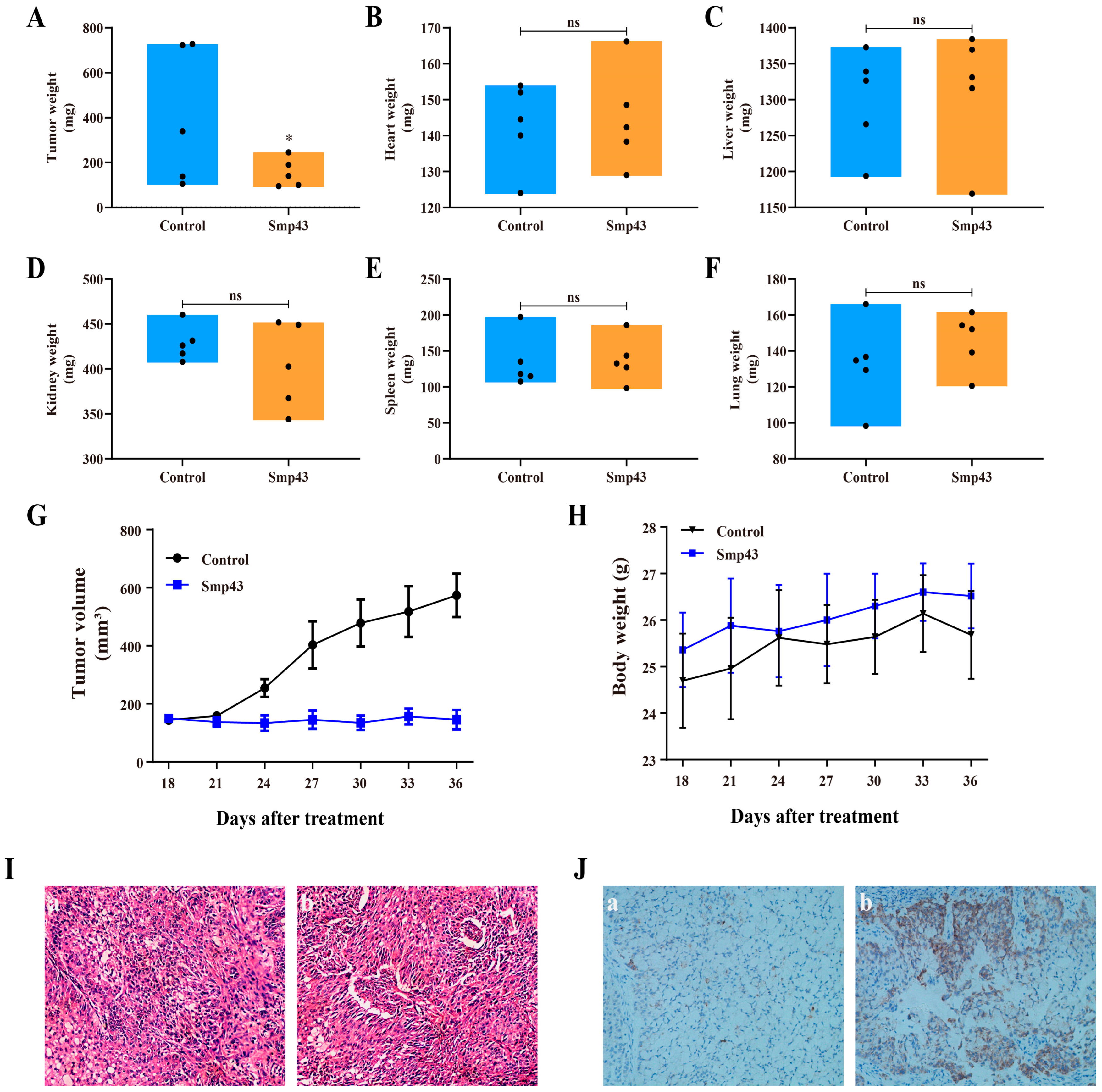Toxins 15 00347 g008