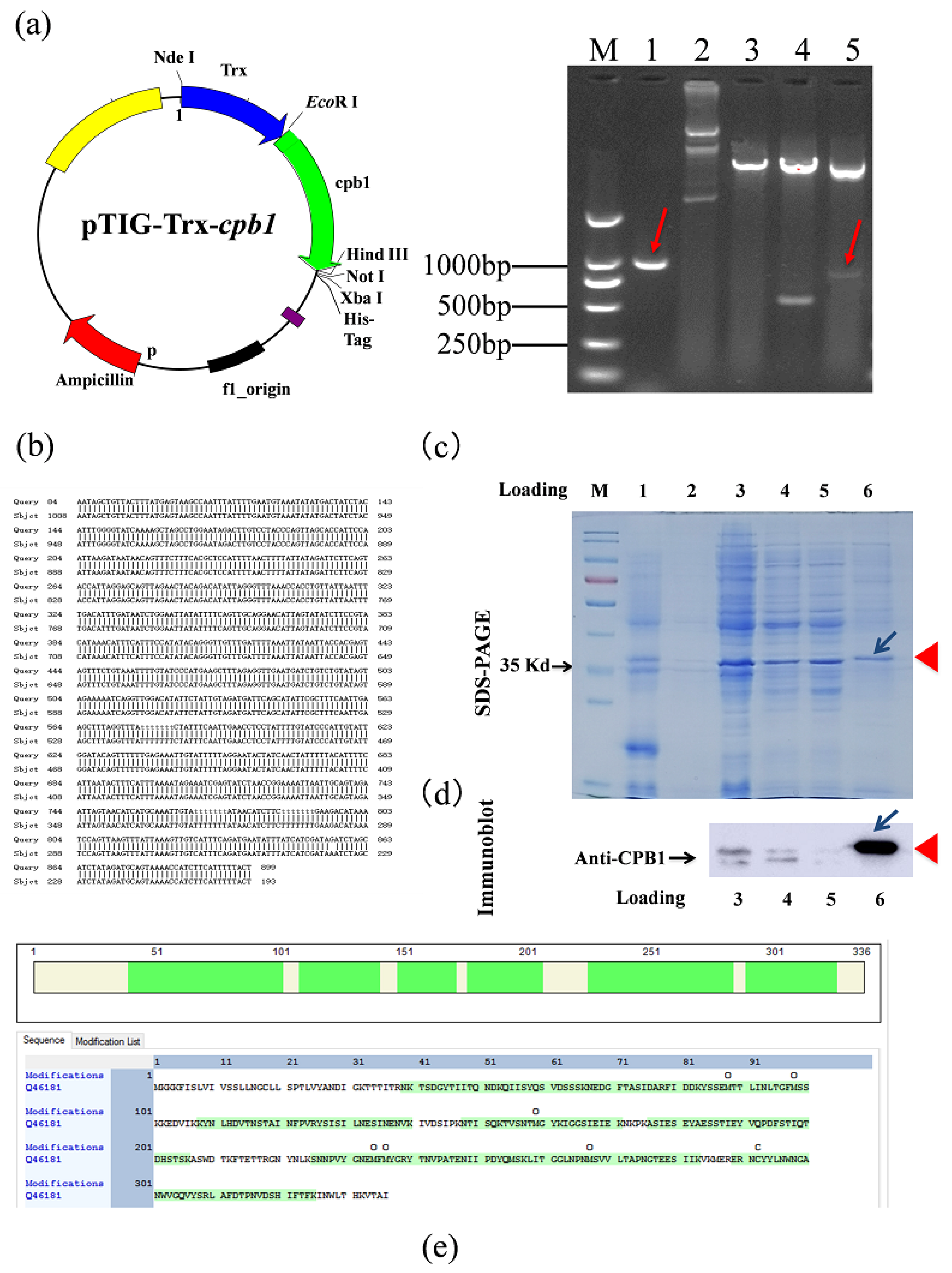 Toxins 15 00366 g001