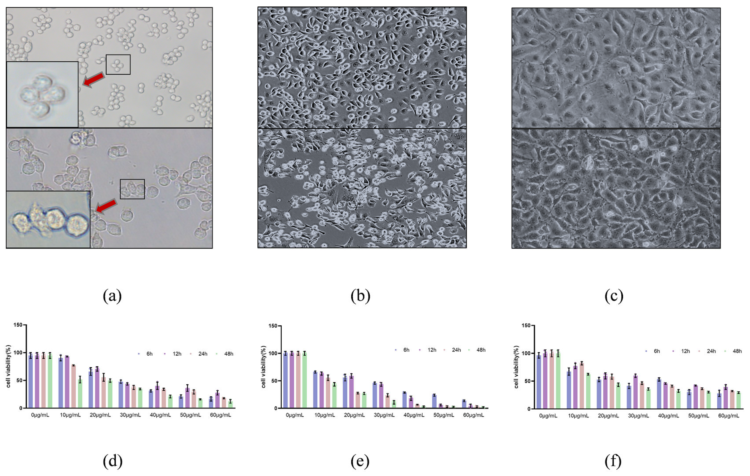 Toxins 15 00366 g002