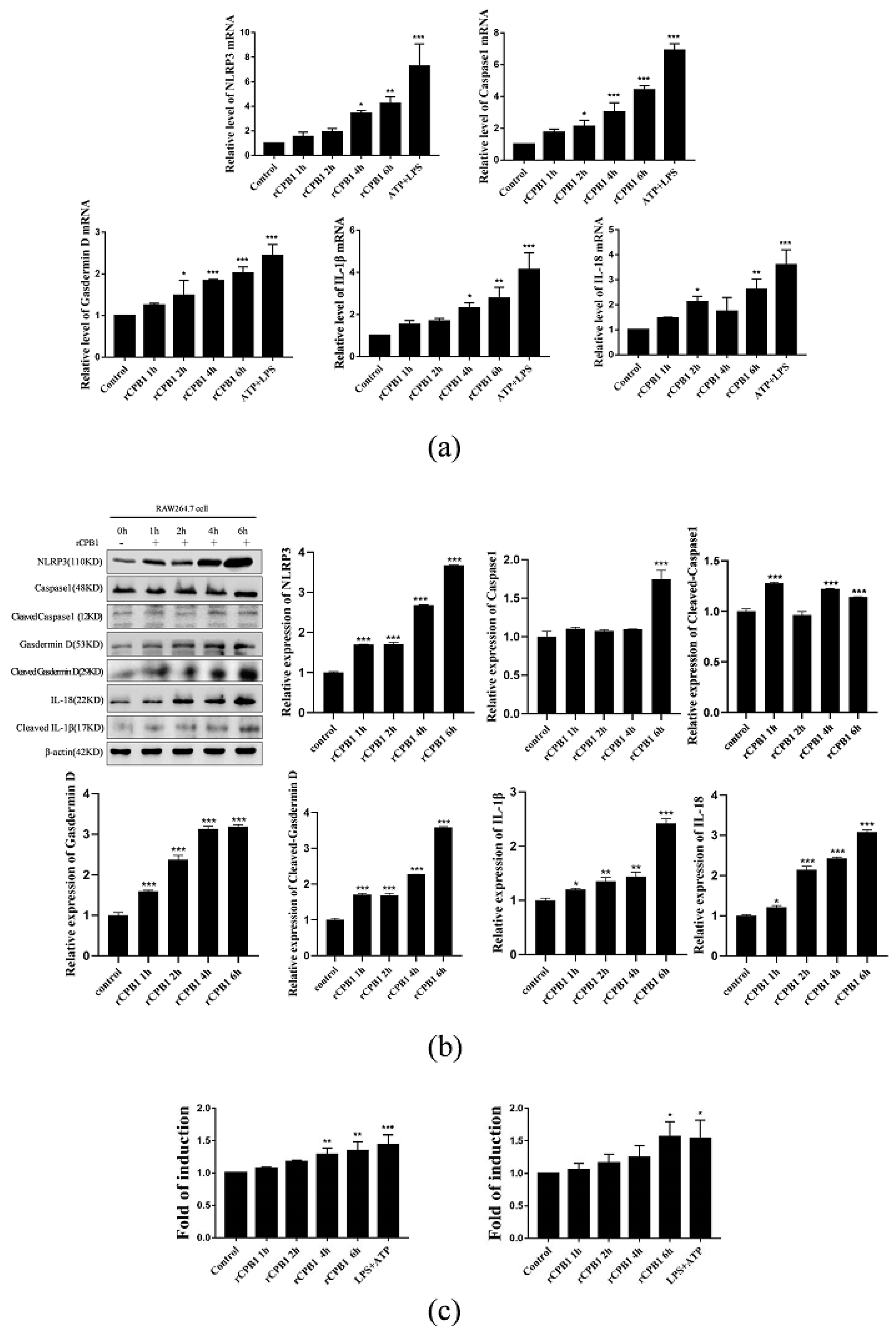 Toxins 15 00366 g003