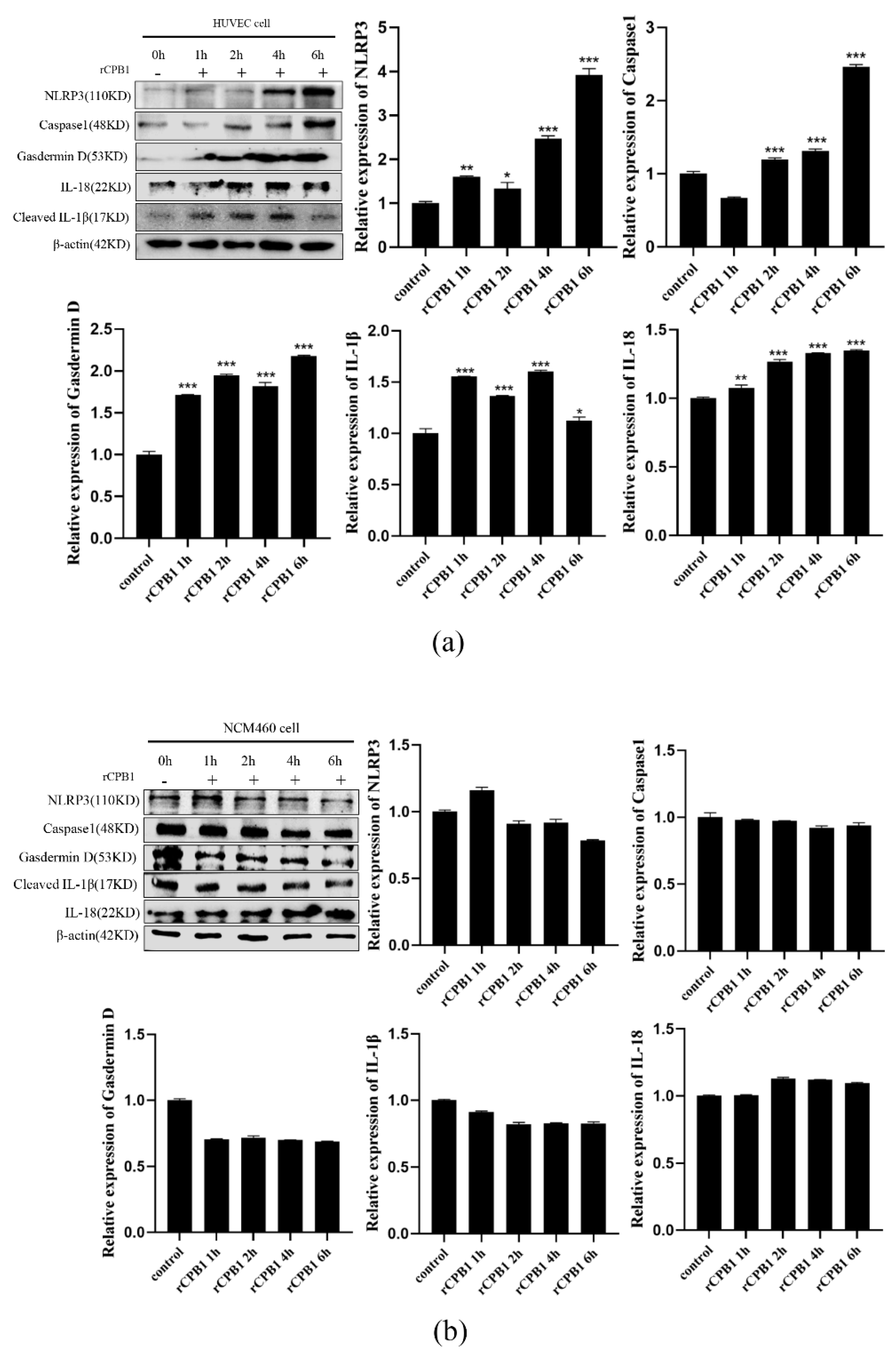 Toxins 15 00366 g006