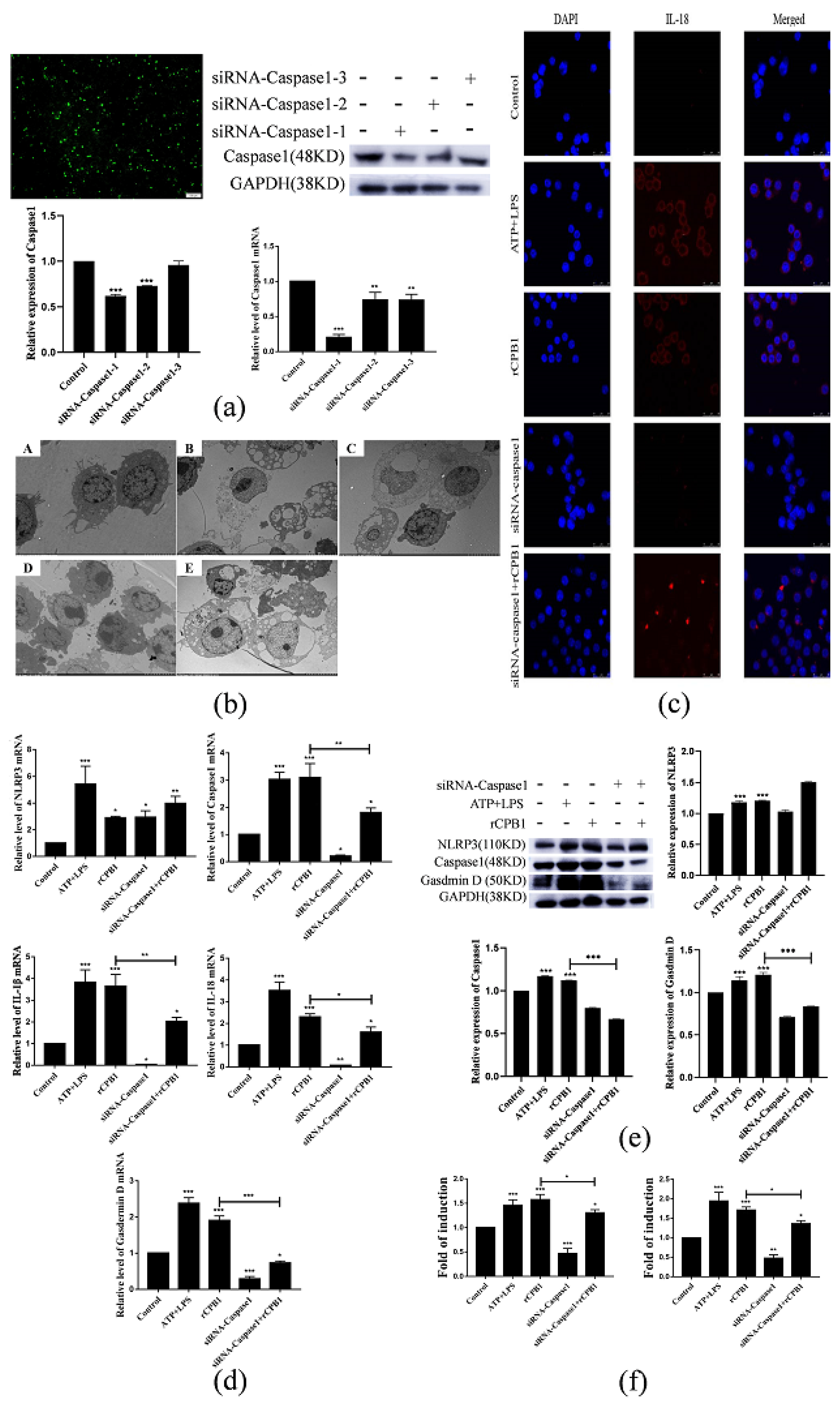 Toxins 15 00366 g007
