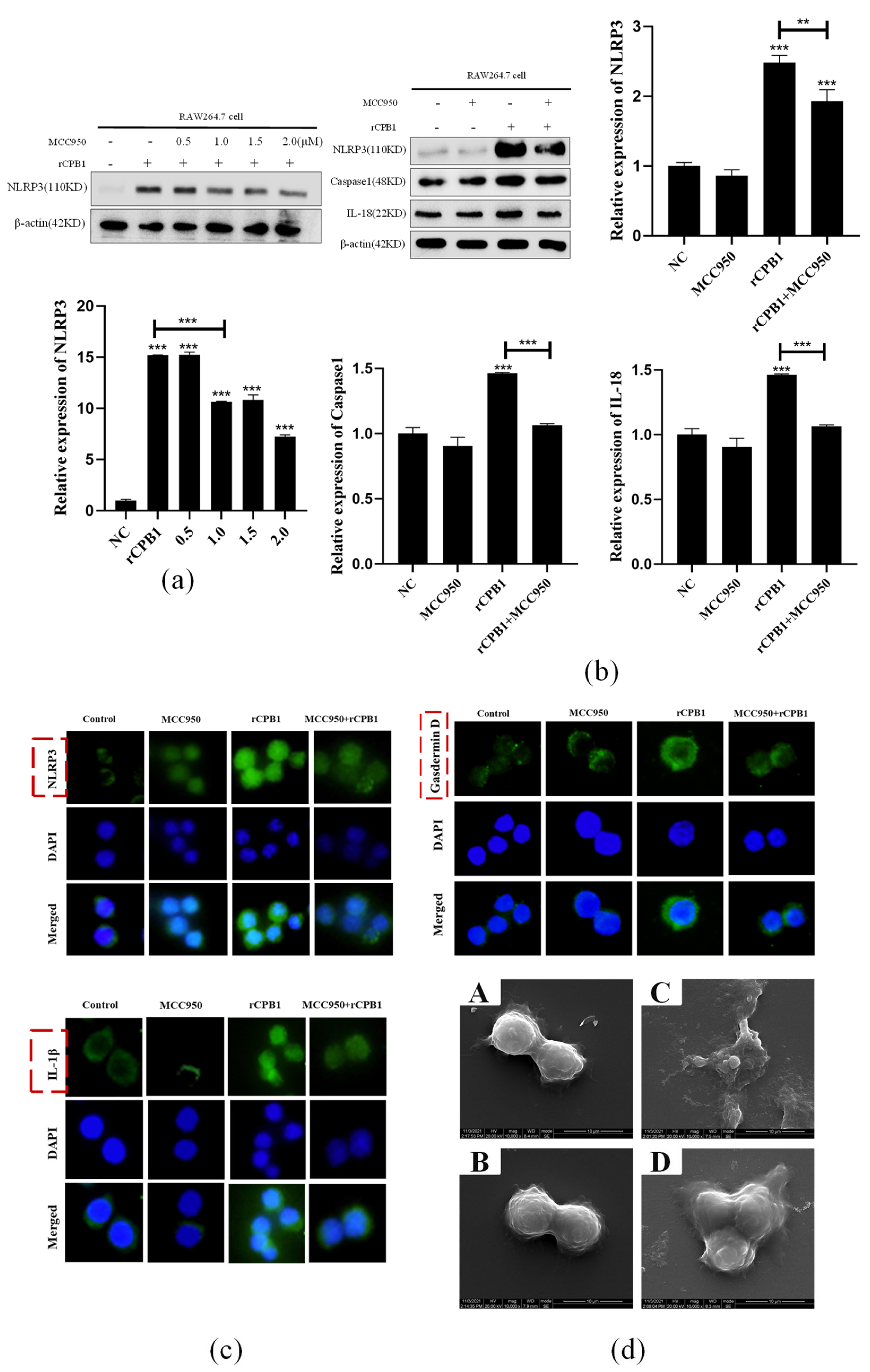 Toxins 15 00366 g008