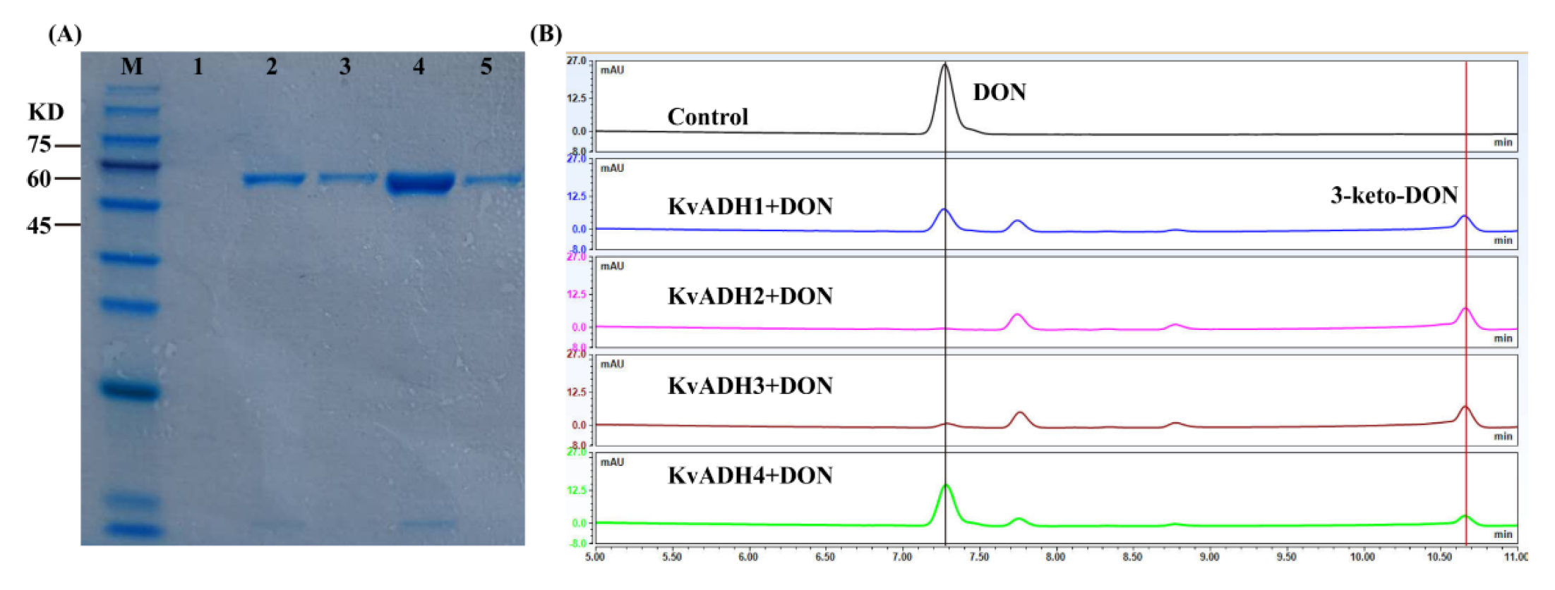 Toxins 15 00367 g005