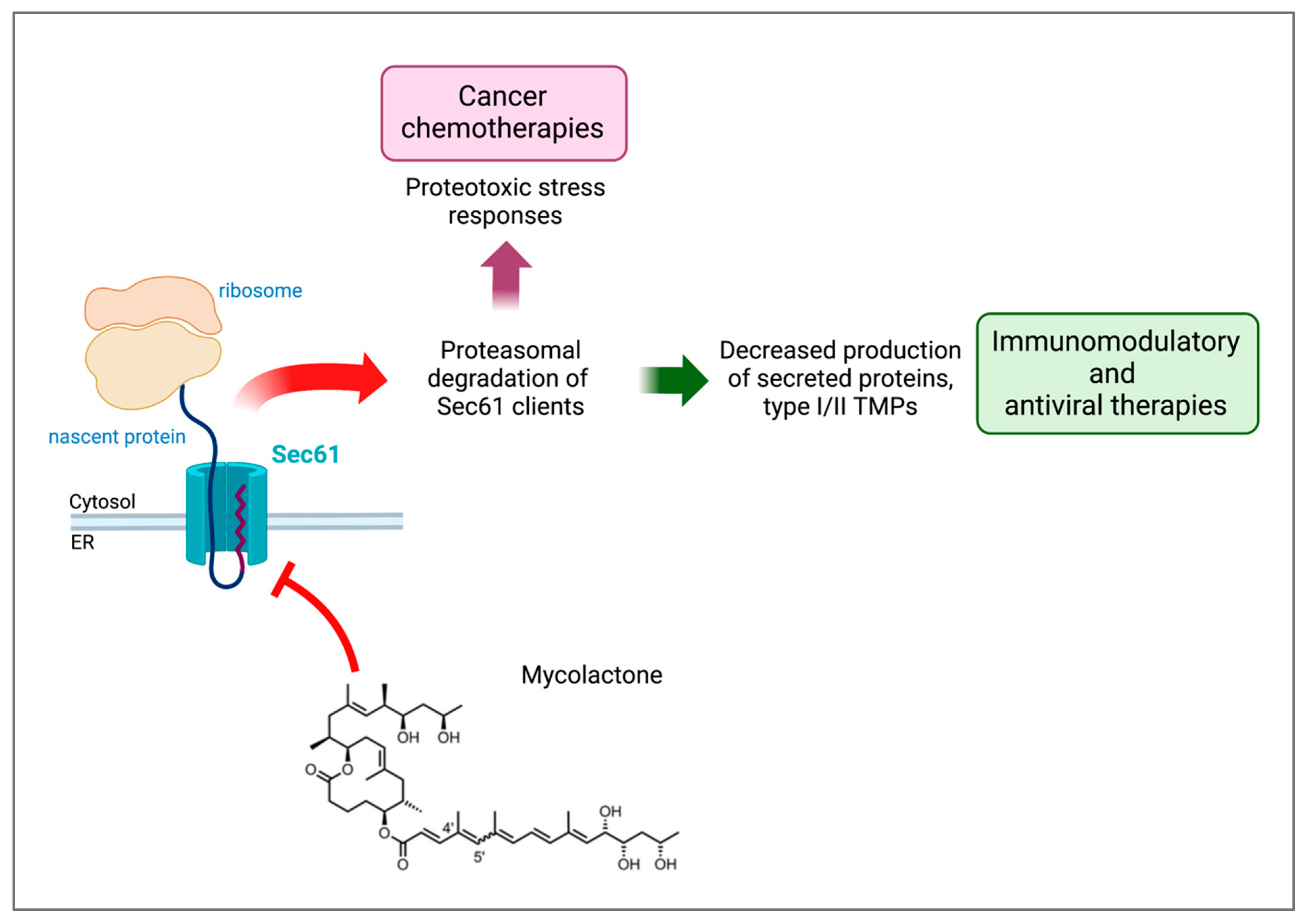 Toxins 15 00369 g001 Toxins 15 00369 g001
