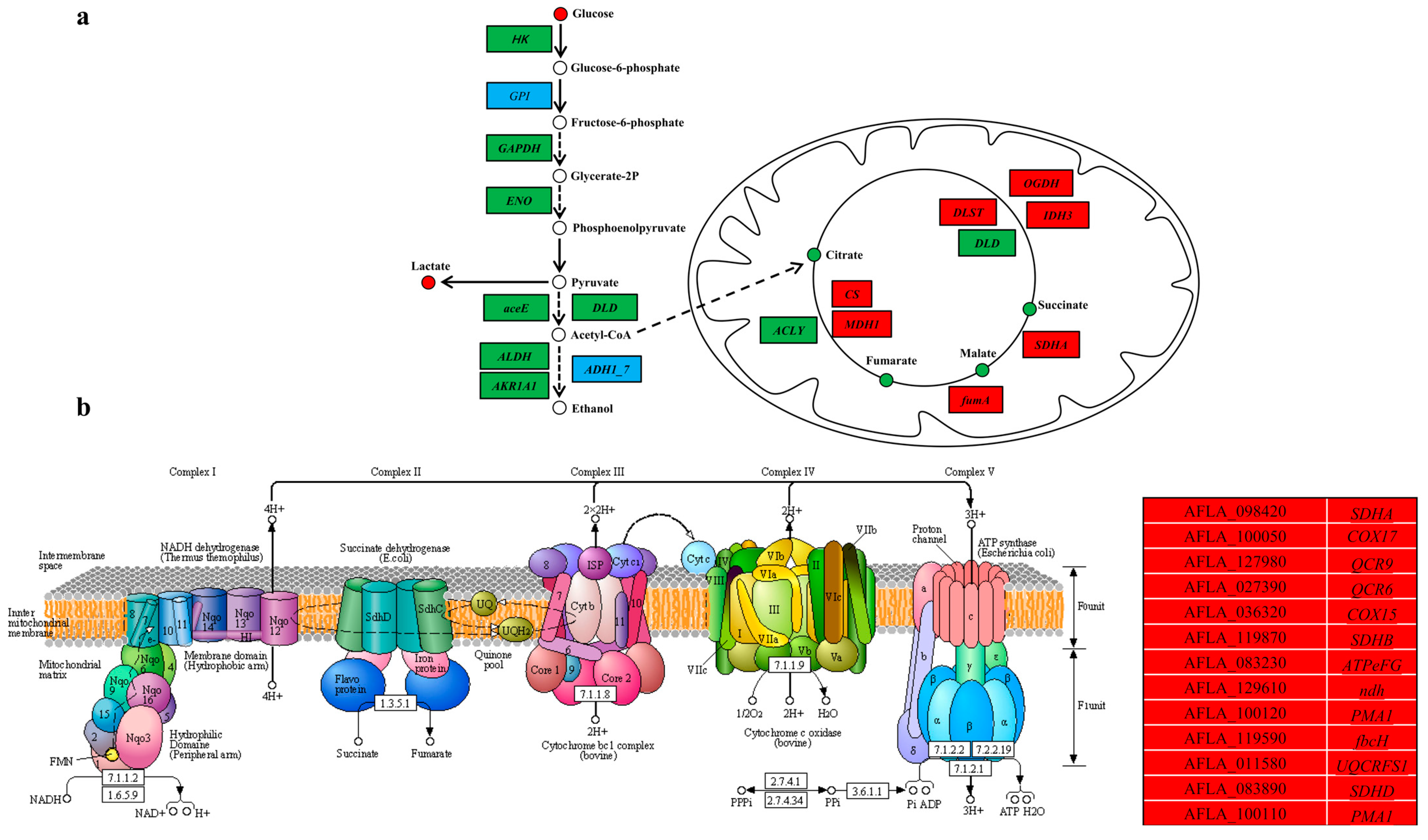 Toxins 15 00370 g005