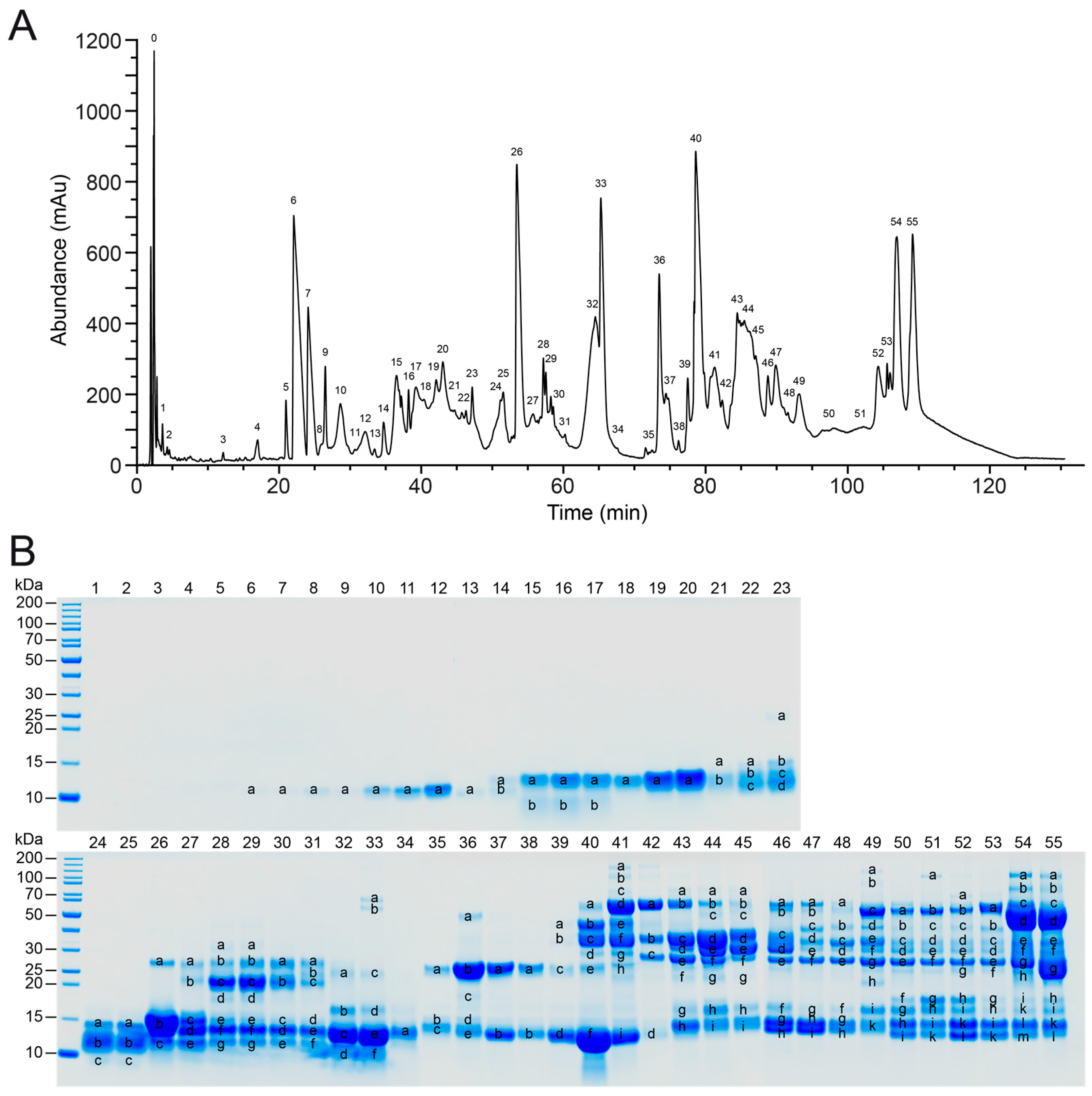 Toxins 15 00371 g001