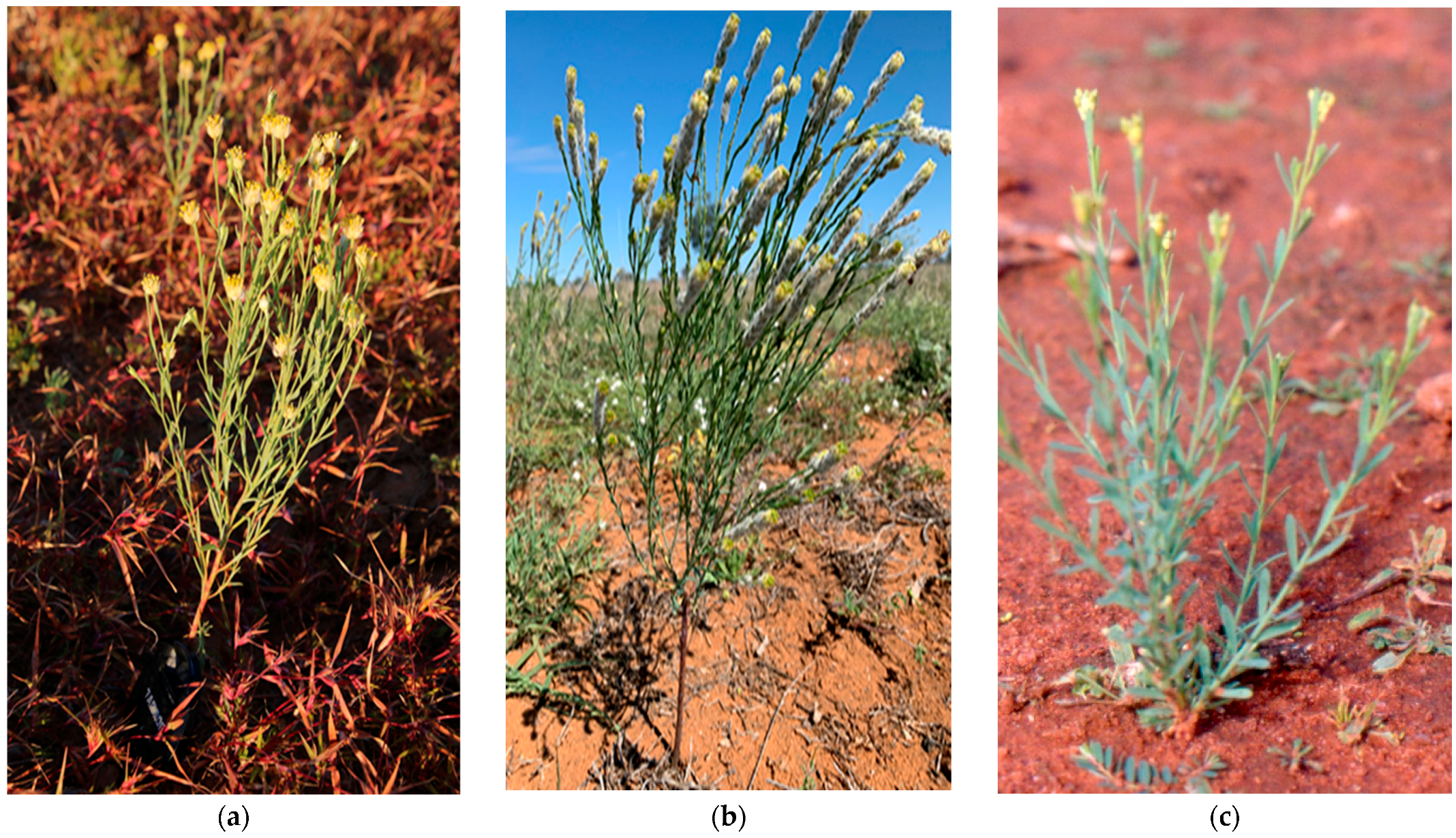 Toxins 15 00374 g002