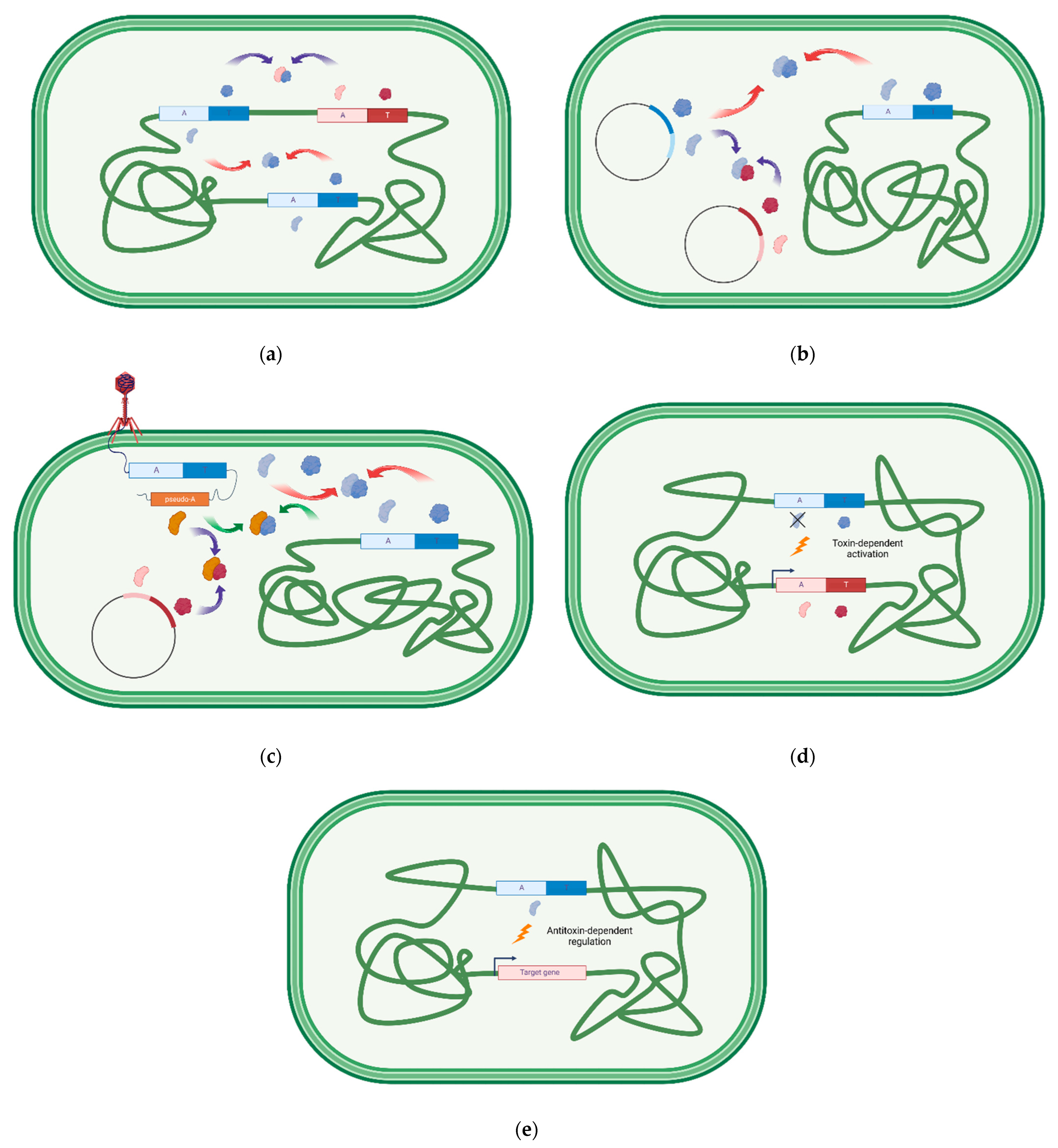 Toxins 15 00380 g001