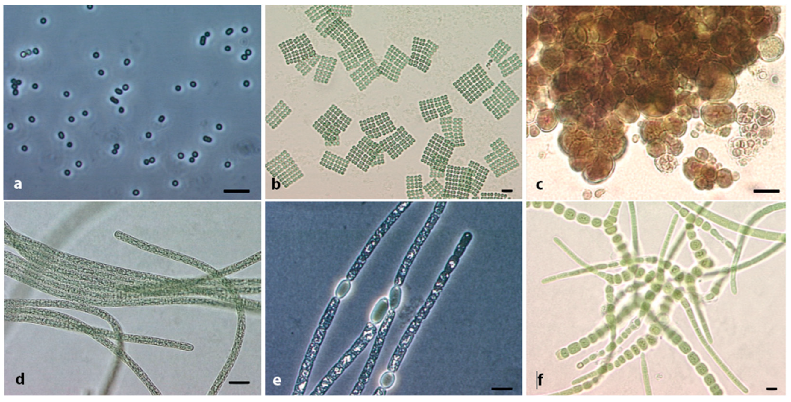 Toxins 15 00388 g001