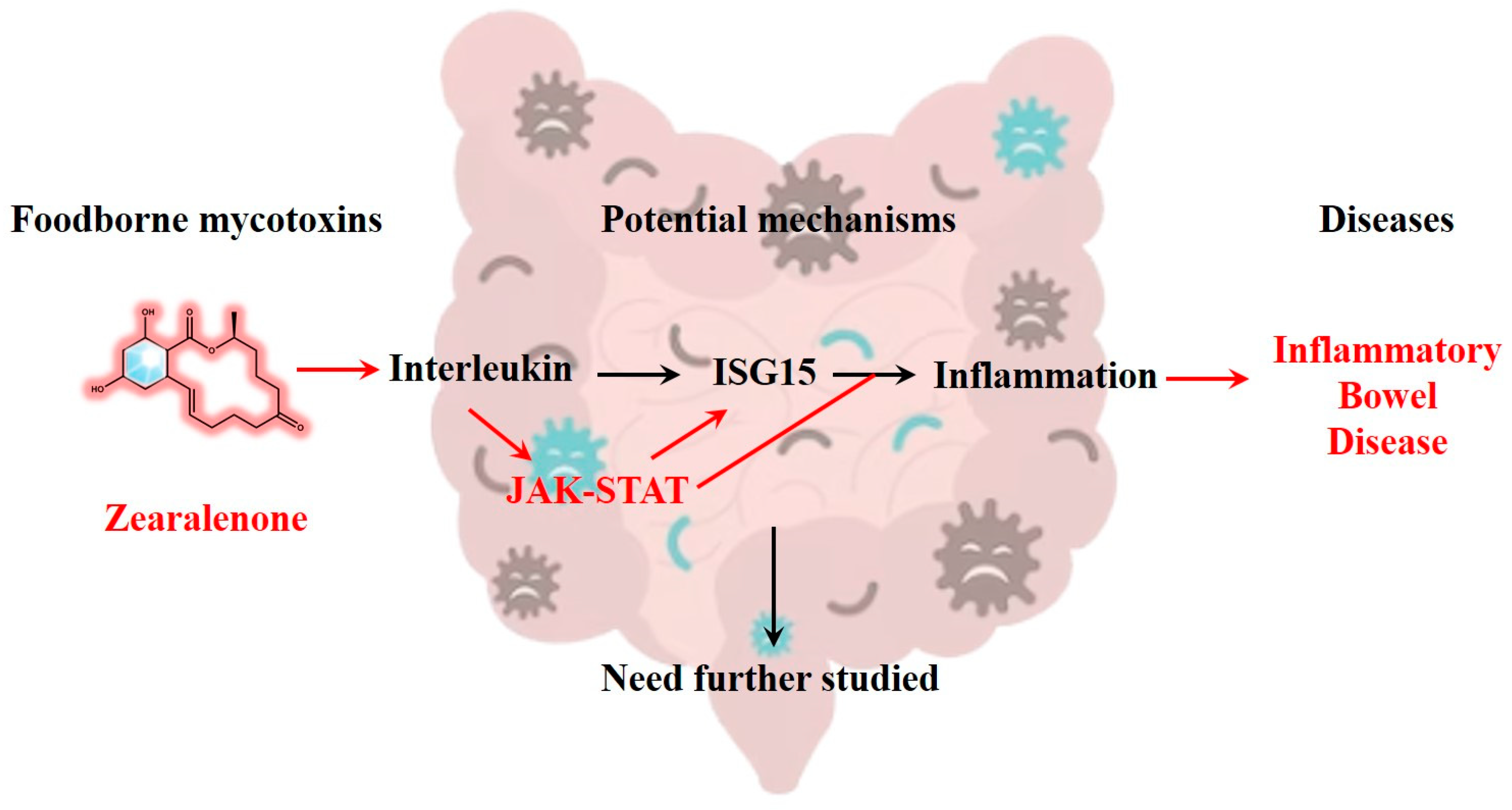 Toxins 15 00392 g006