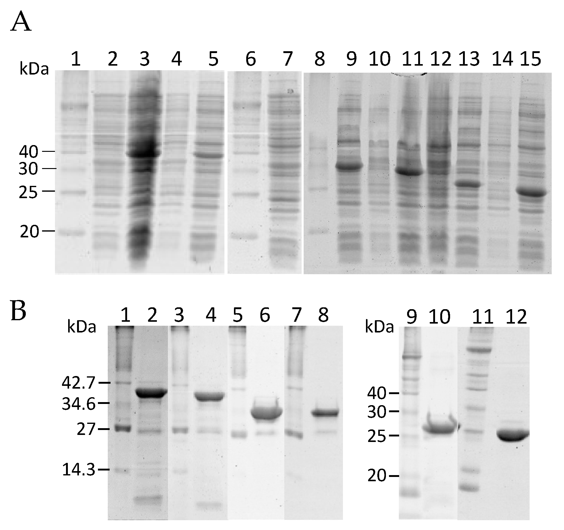 Toxins 15 00396 g002 Toxins 15 00396 g002