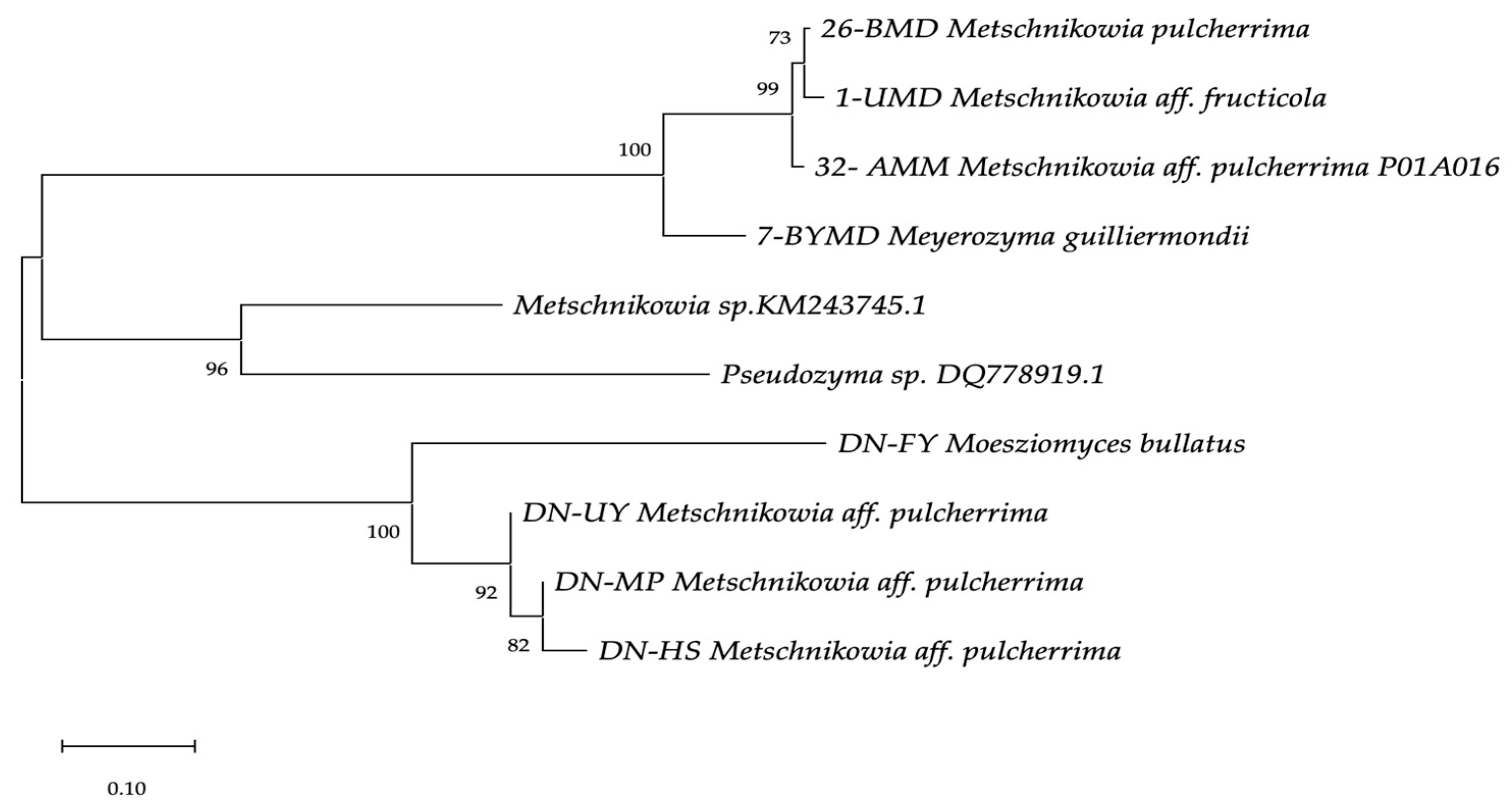 Toxins 15 00402 g001 Toxins 15 00402 g001