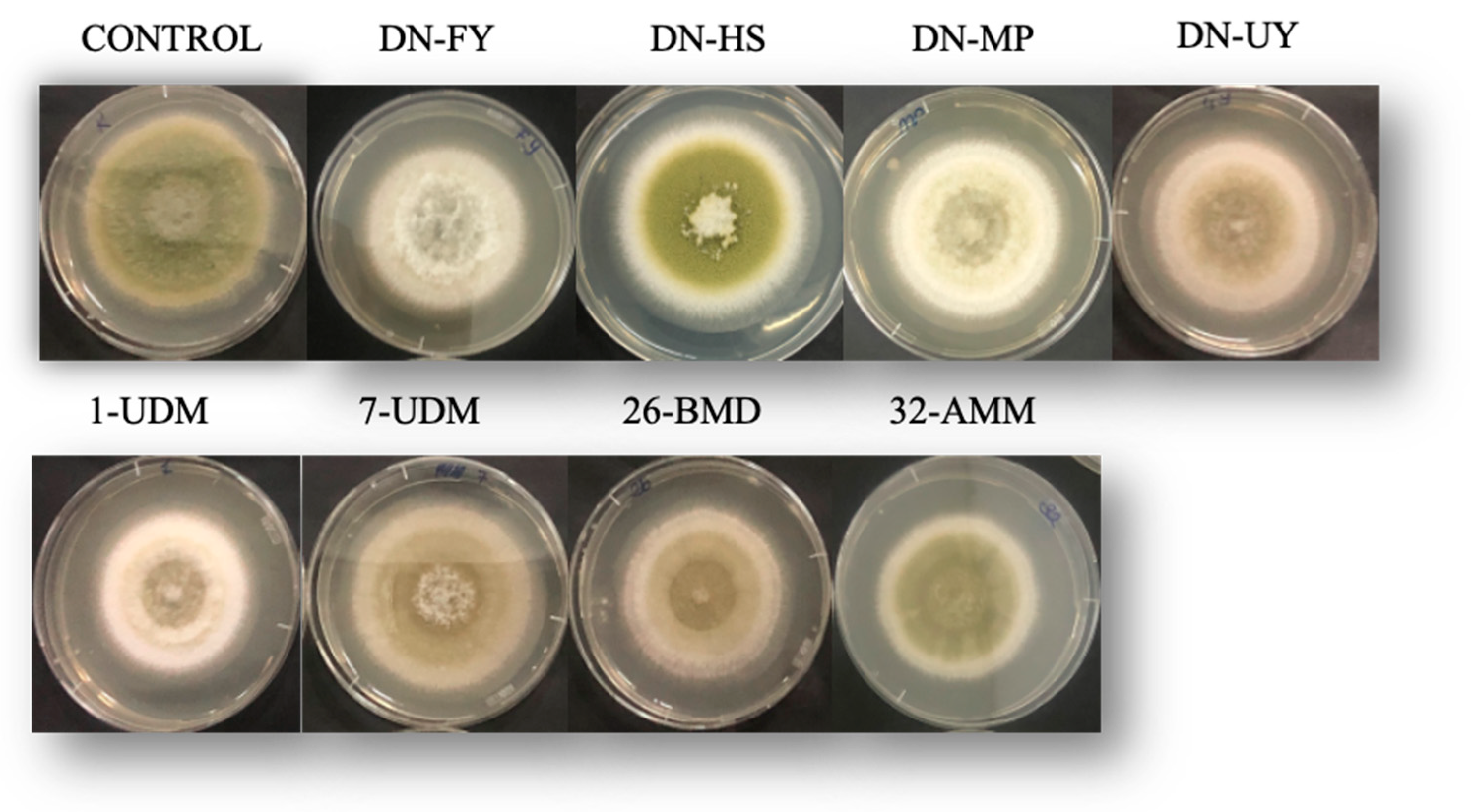 Toxins 15 00402 g003 Toxins 15 00402 g003