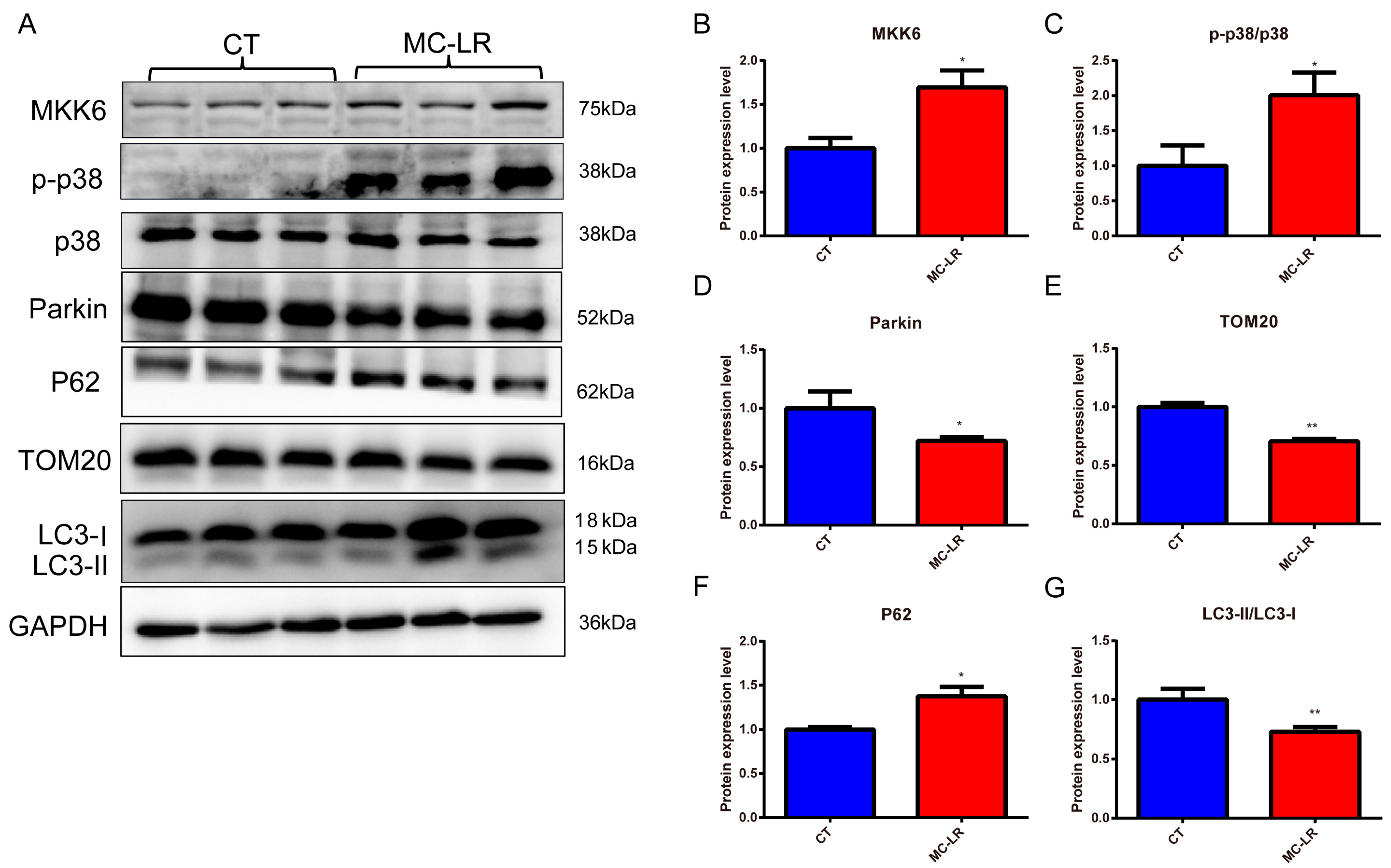 Toxins 15 00404 g004 Toxins 15 00404 g004