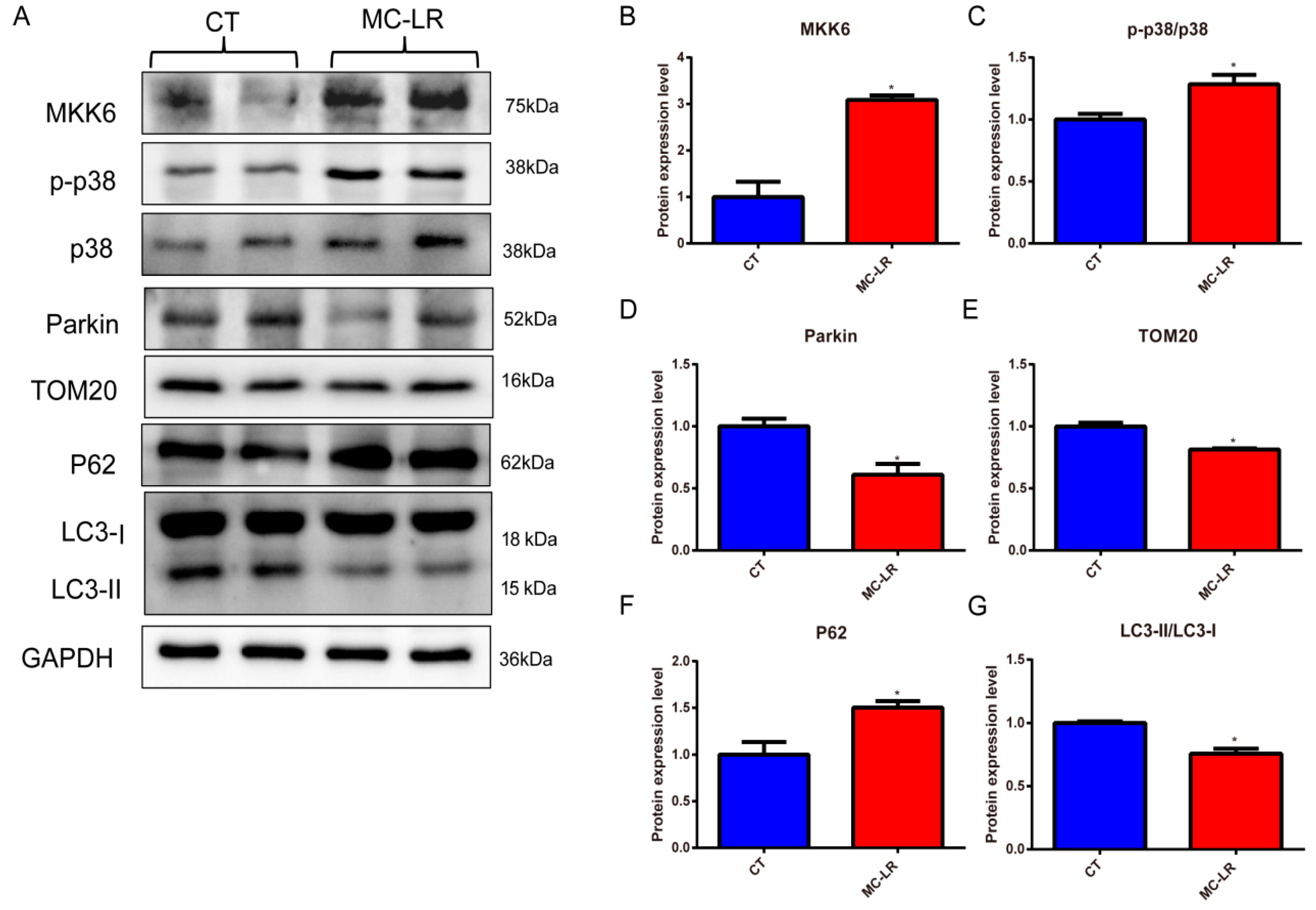 Toxins 15 00404 g006 Toxins 15 00404 g006