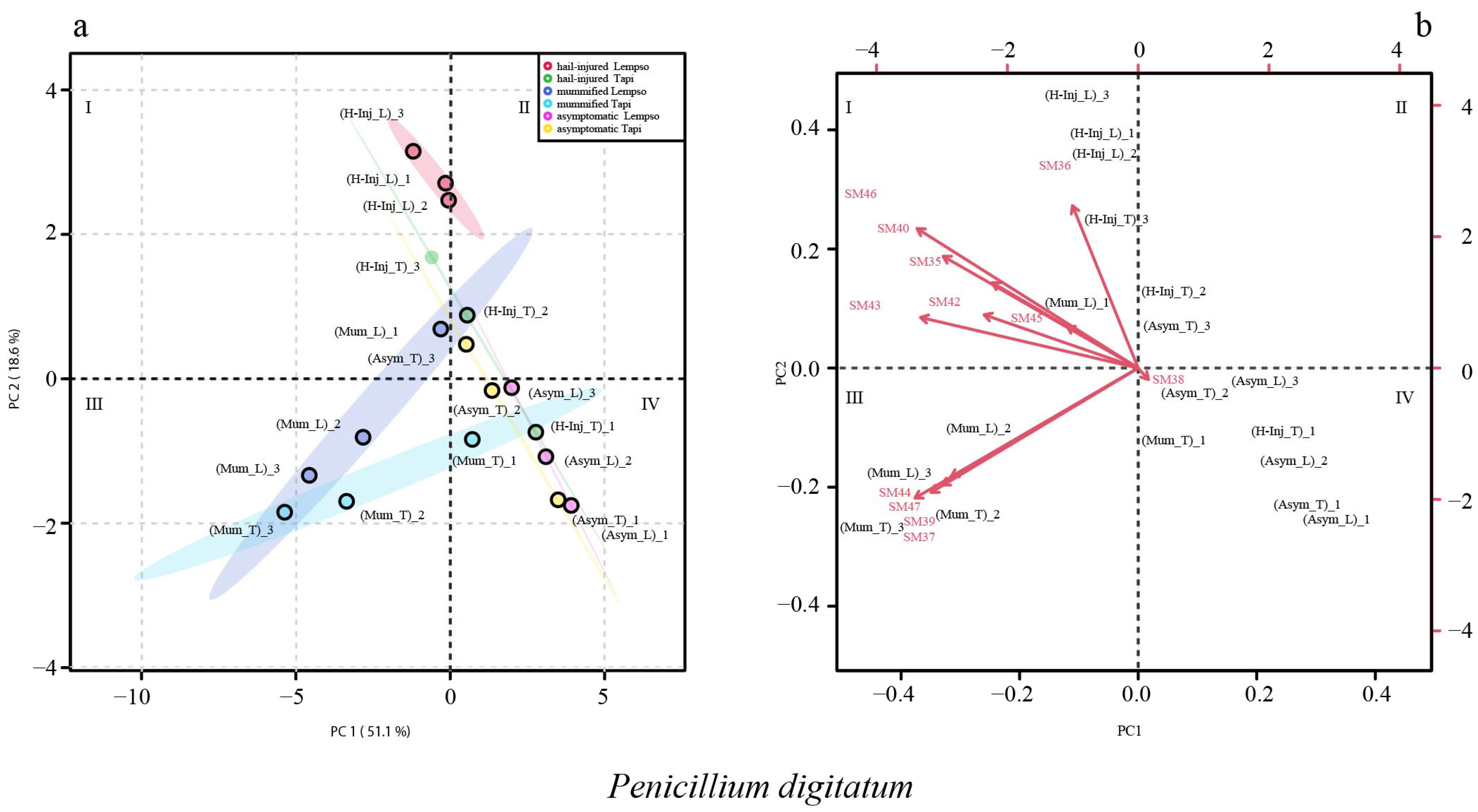 Toxins 15 00407 g006