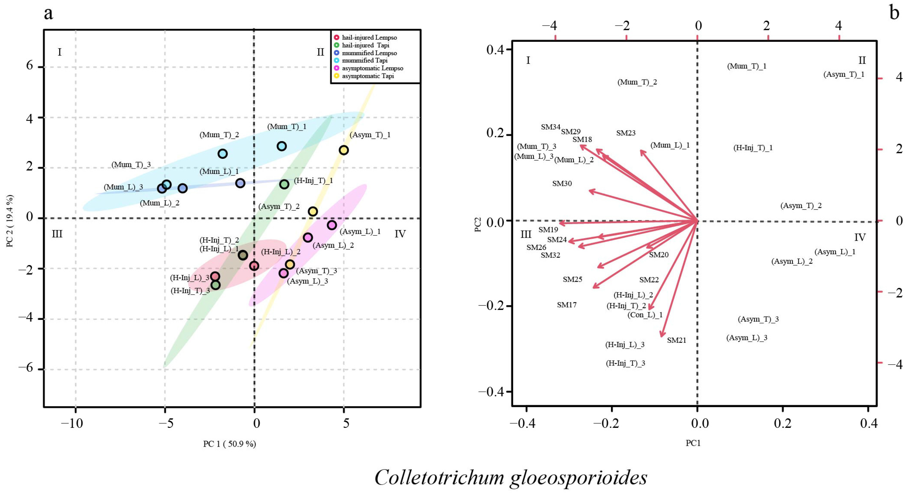 Toxins 15 00407 g008