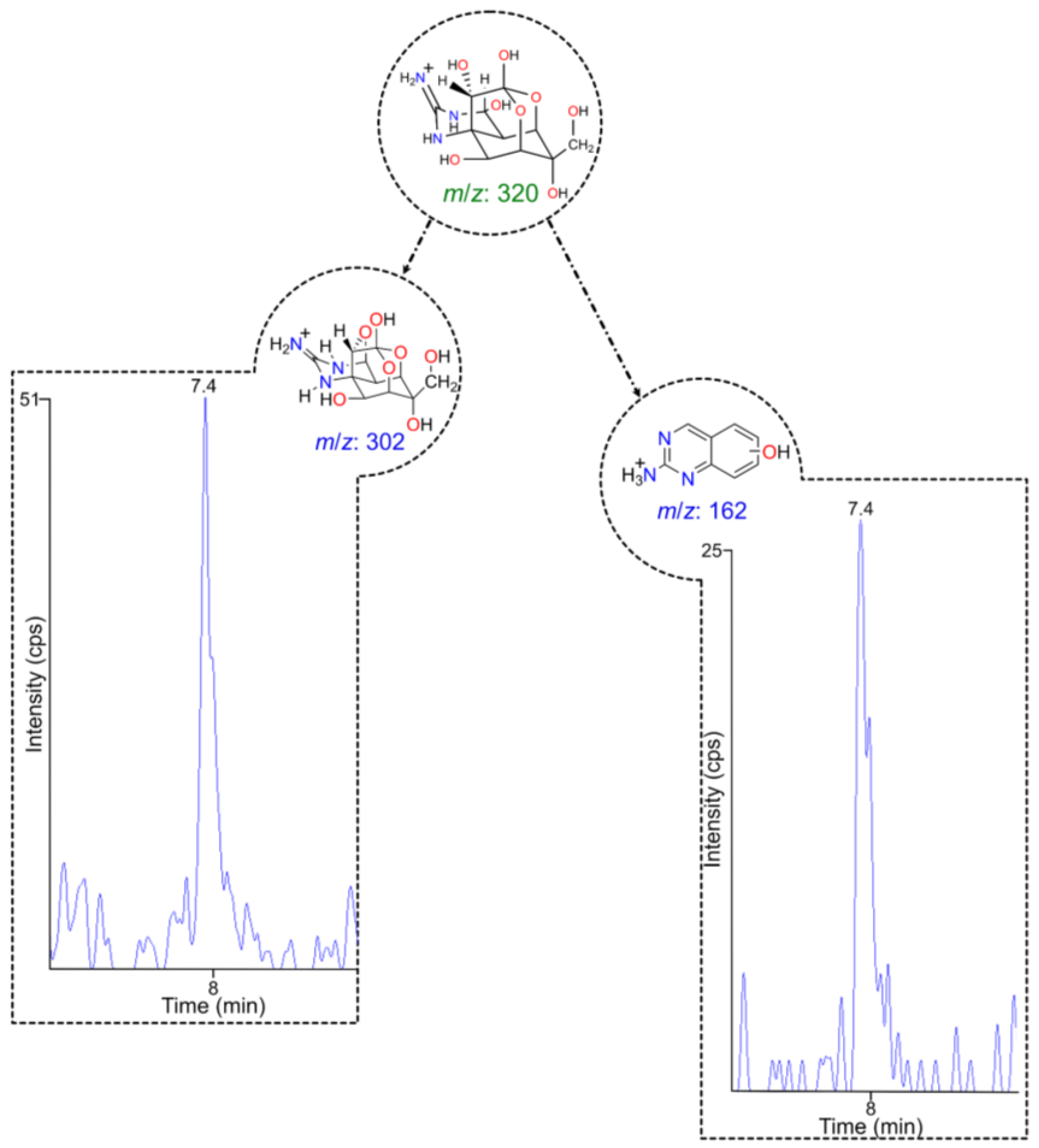 Toxins 15 00409 g001