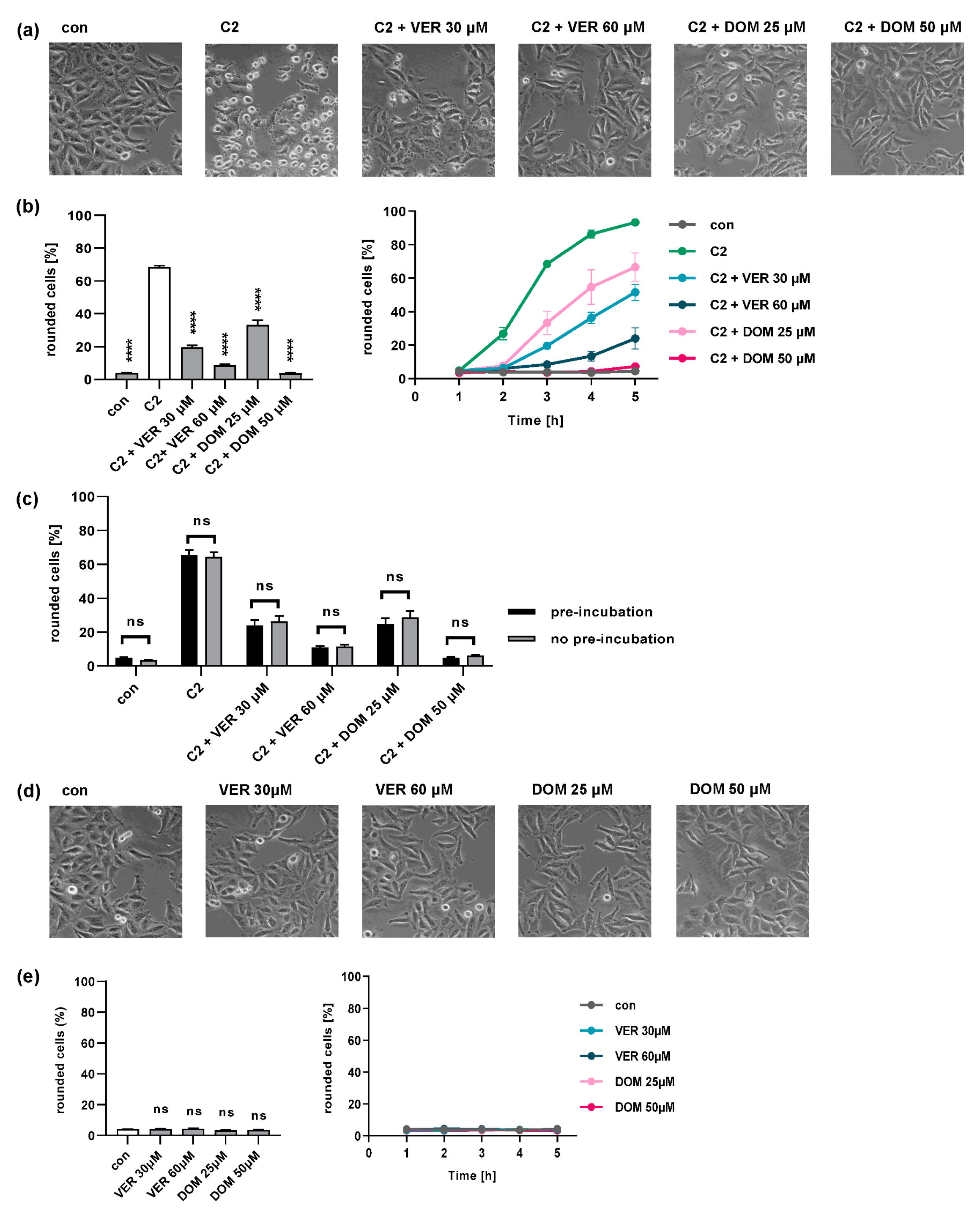 Toxins 15 00412 g001 Toxins 15 00412 g001