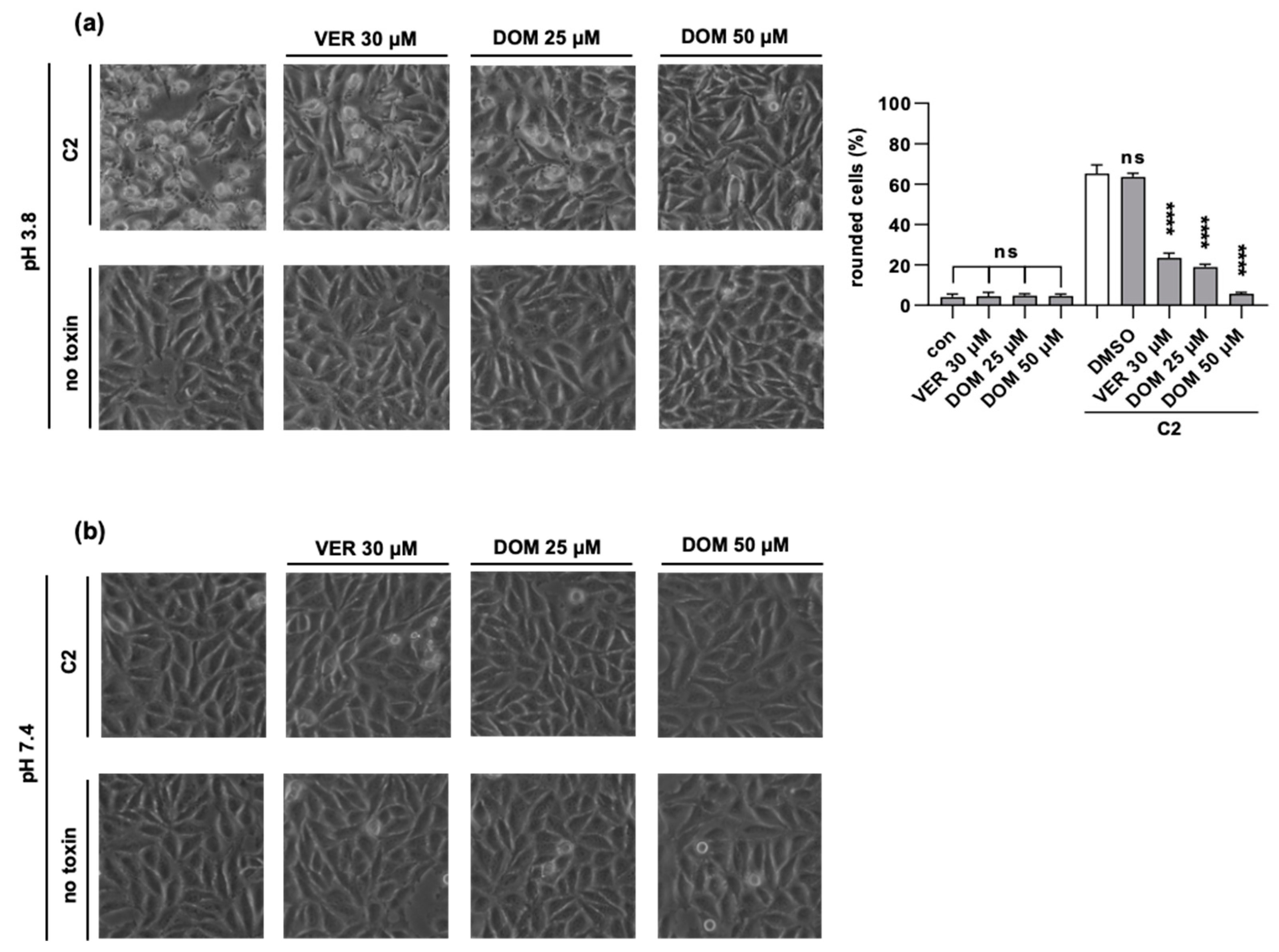 Toxins 15 00412 g004 Toxins 15 00412 g004