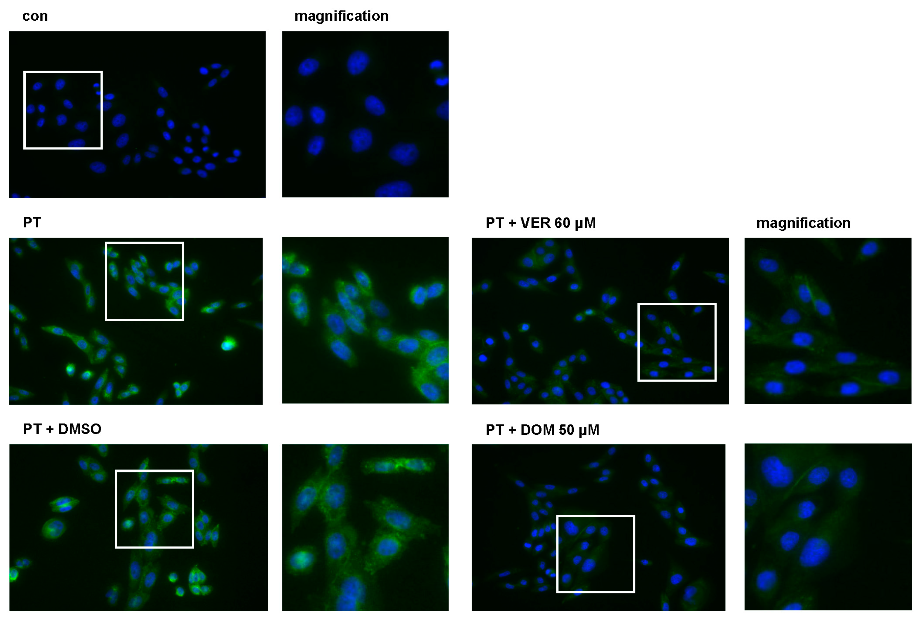 Toxins 15 00412 g006 Toxins 15 00412 g006