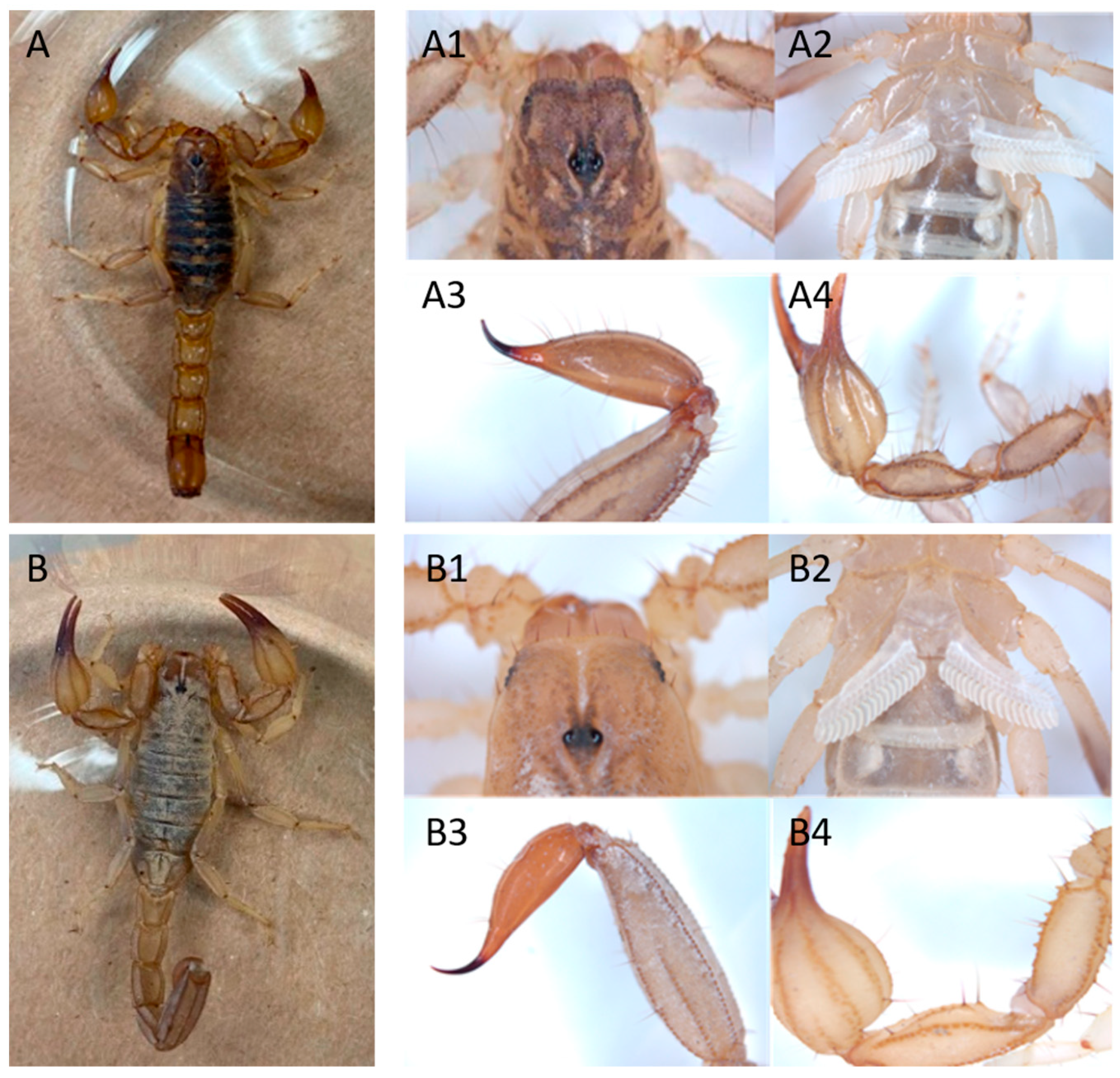 Toxins 15 00416 g002
