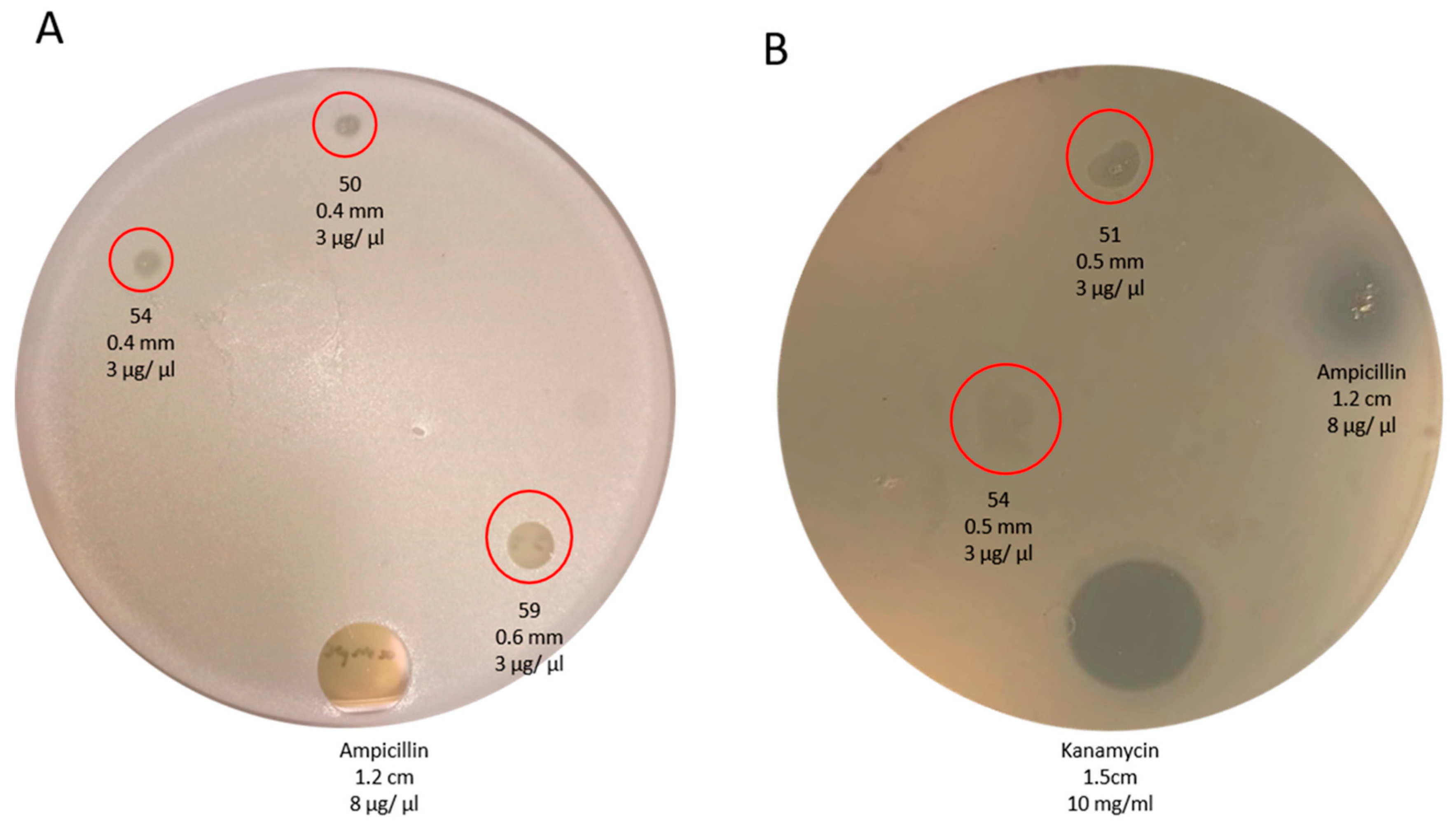 Toxins 15 00416 g006