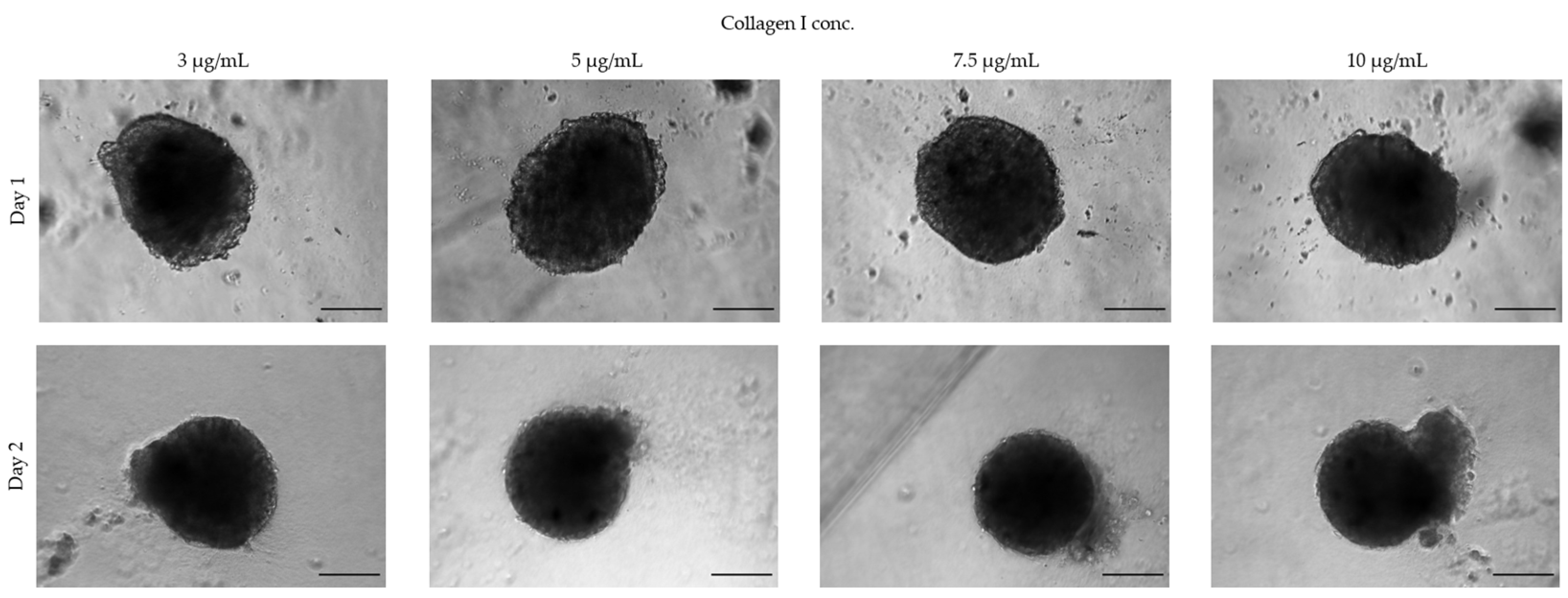 Toxins 15 00422 g007