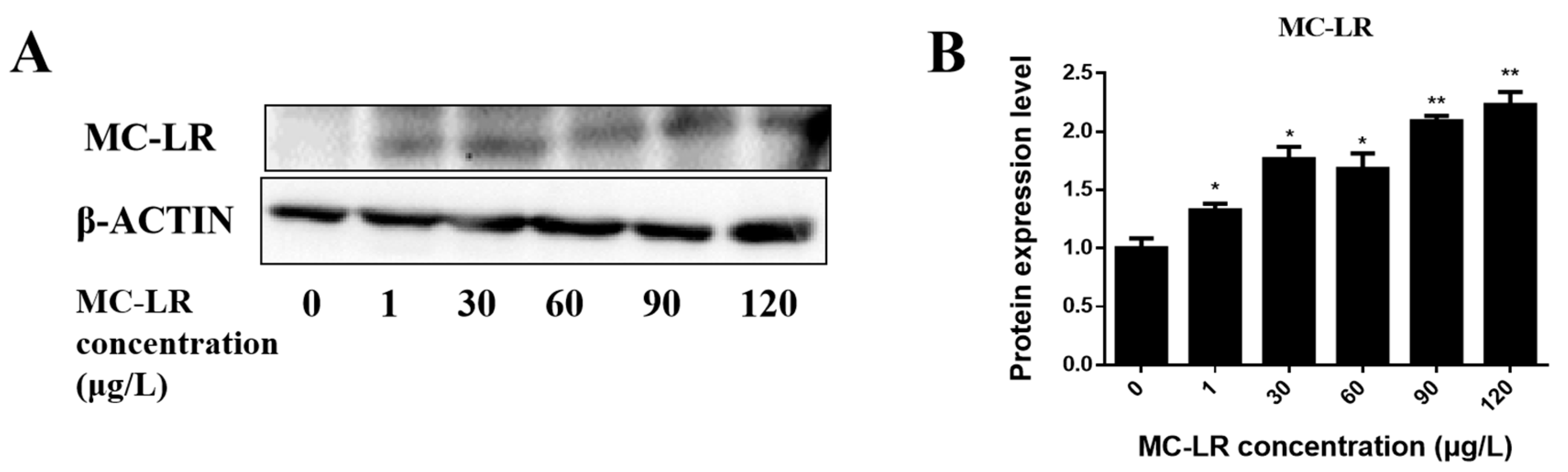 Toxins 15 00427 g001
