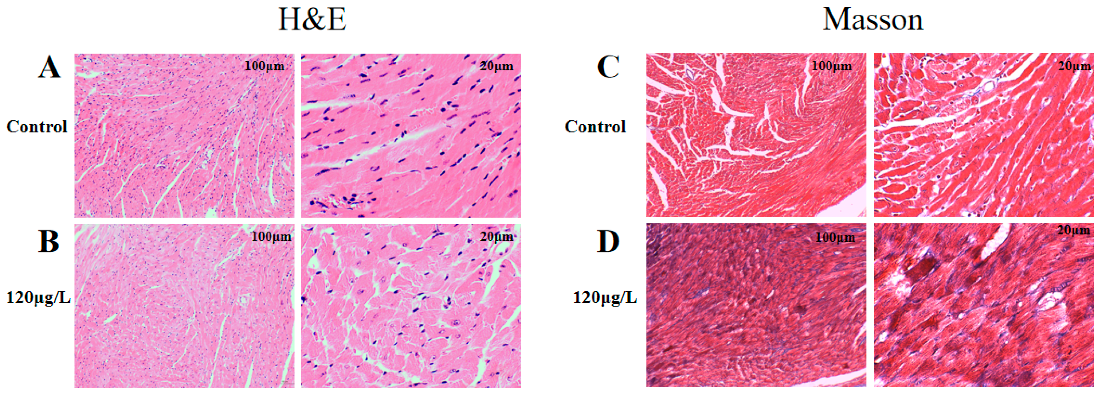 Toxins 15 00427 g003