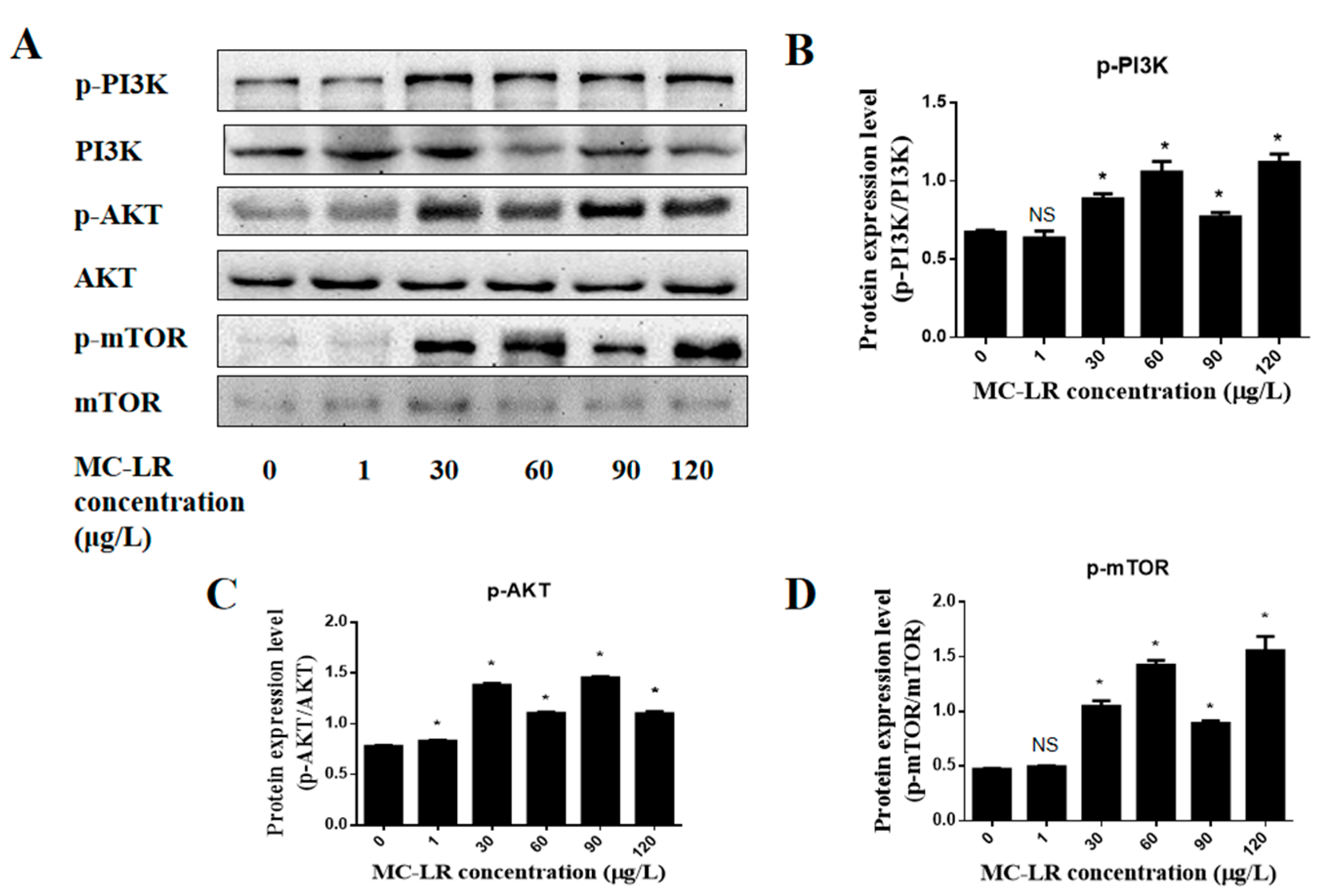 Toxins 15 00427 g006