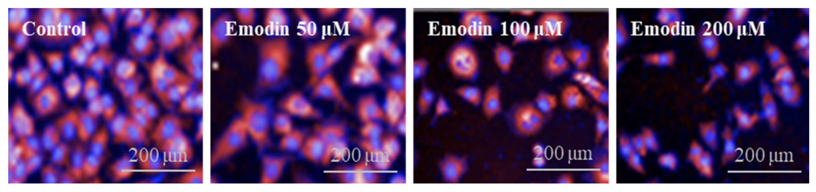 Toxins 15 00455 g003