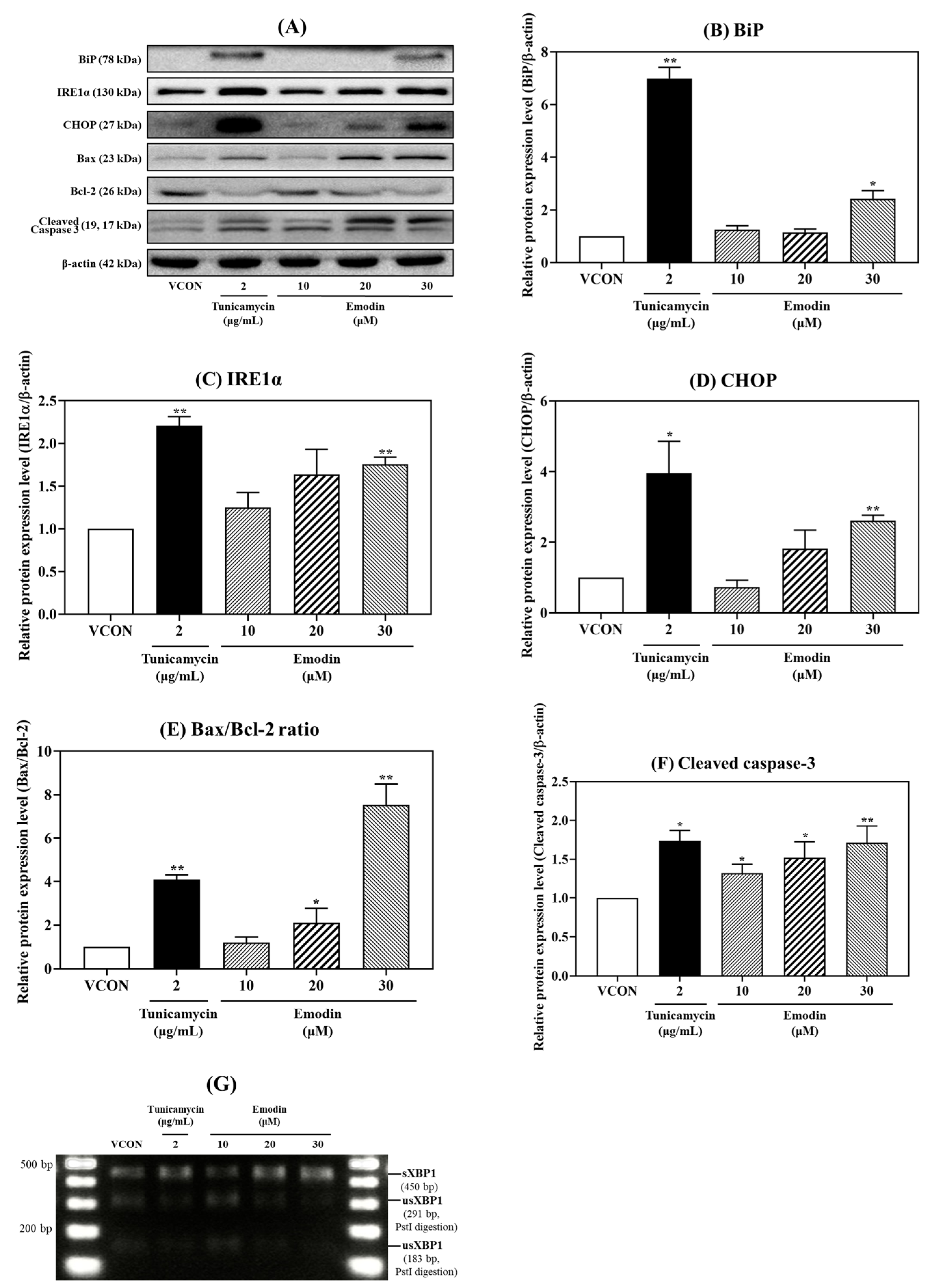 Toxins 15 00455 g005