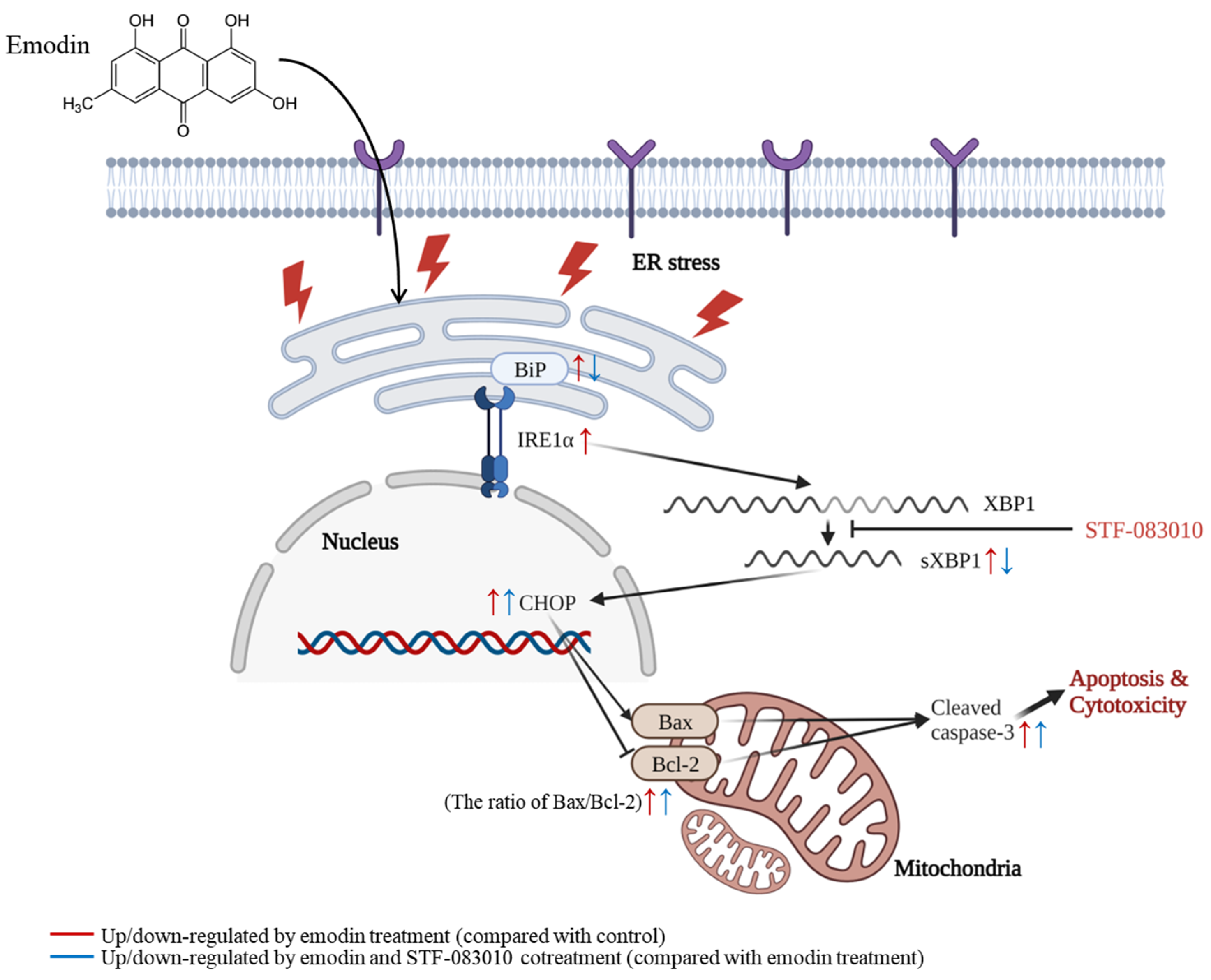 Toxins 15 00455 g008