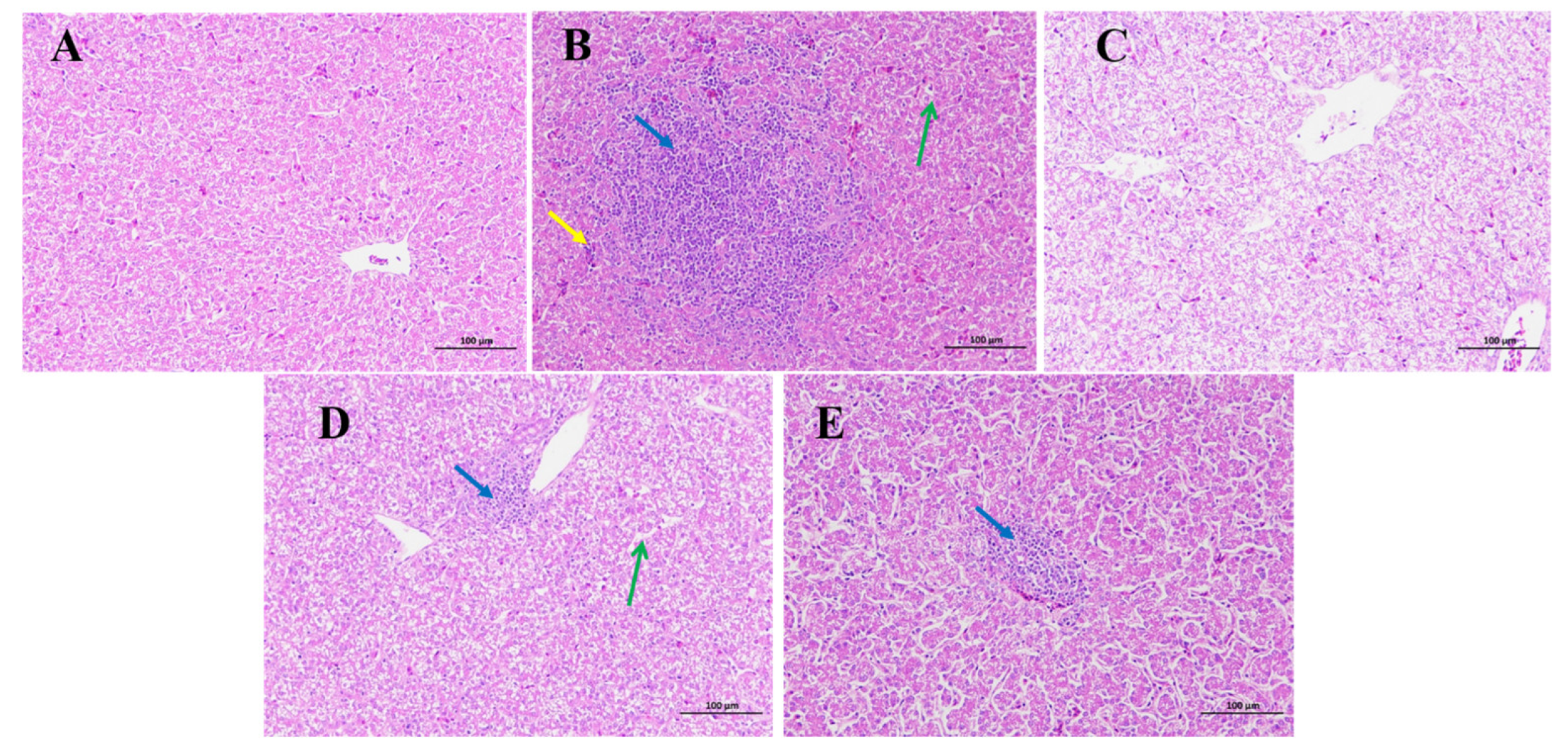 Toxins 15 00478 g002