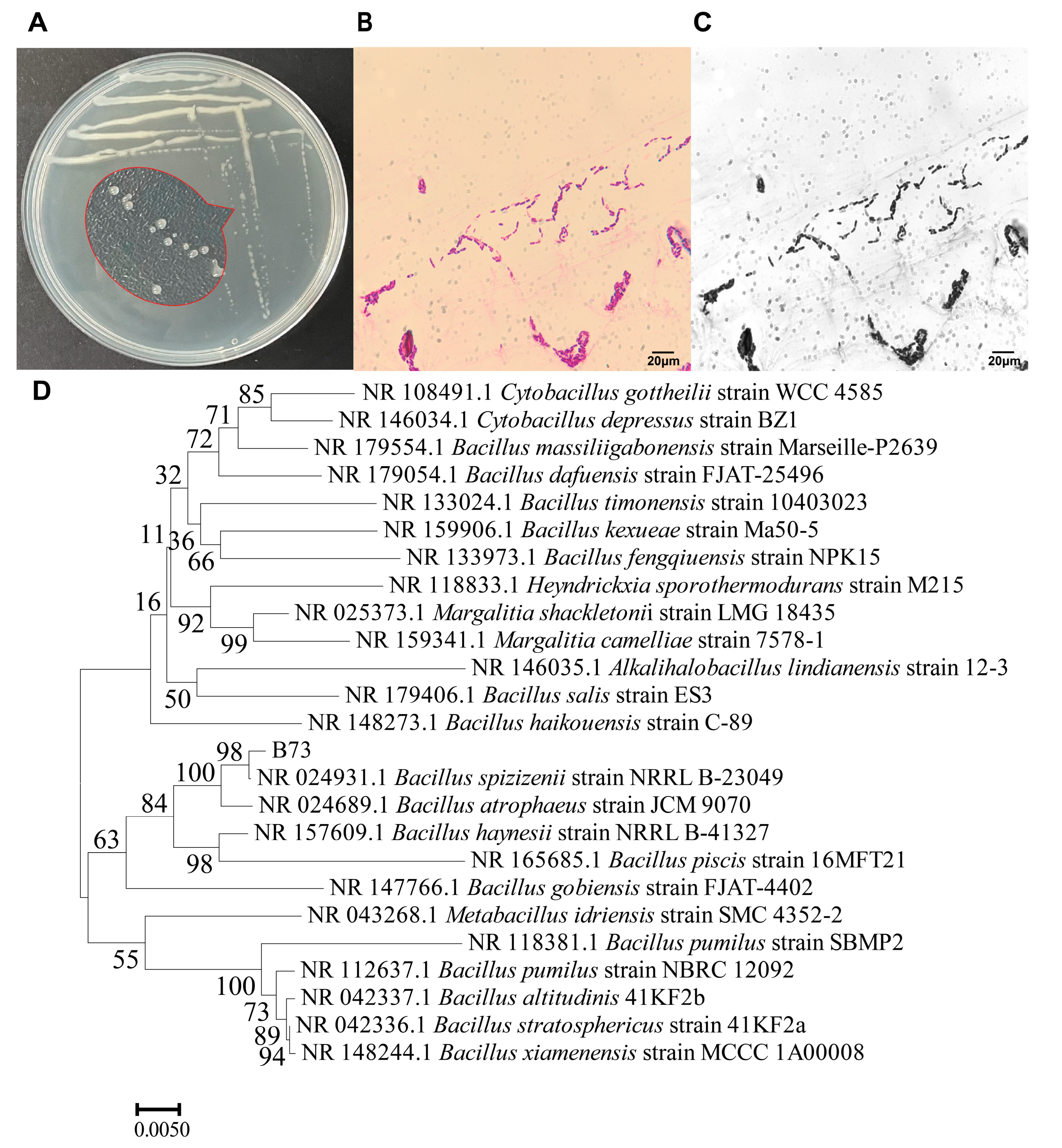 Toxins 15 00488 g002