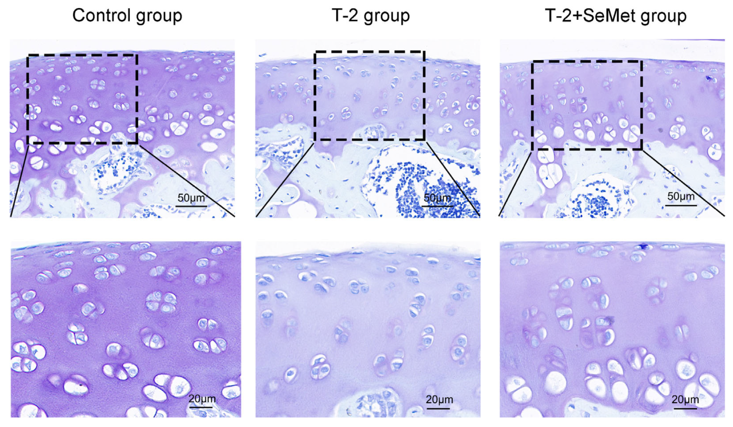 Toxins 15 00496 g001