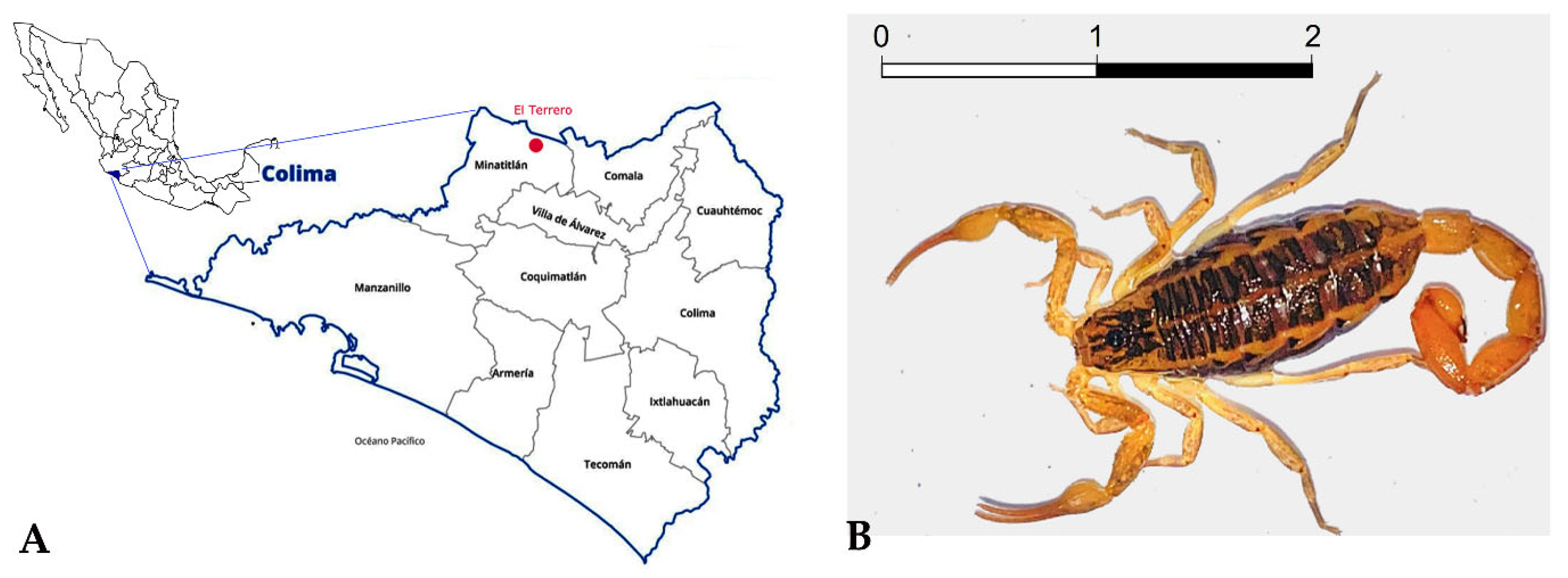 Toxins 15 00498 g001