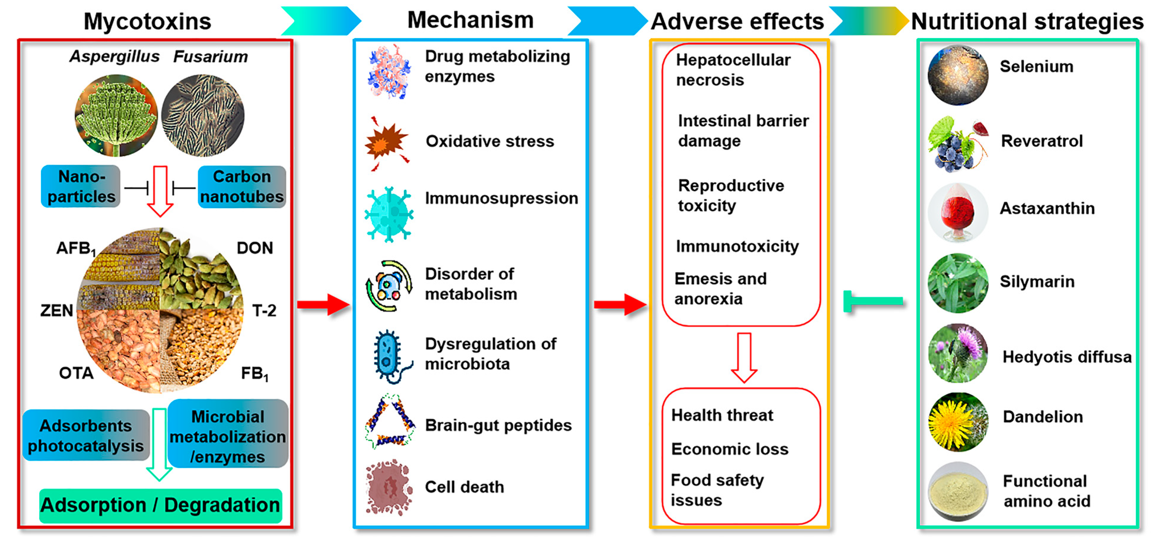 Toxins 15 00513 g001 Toxins 15 00513 g001