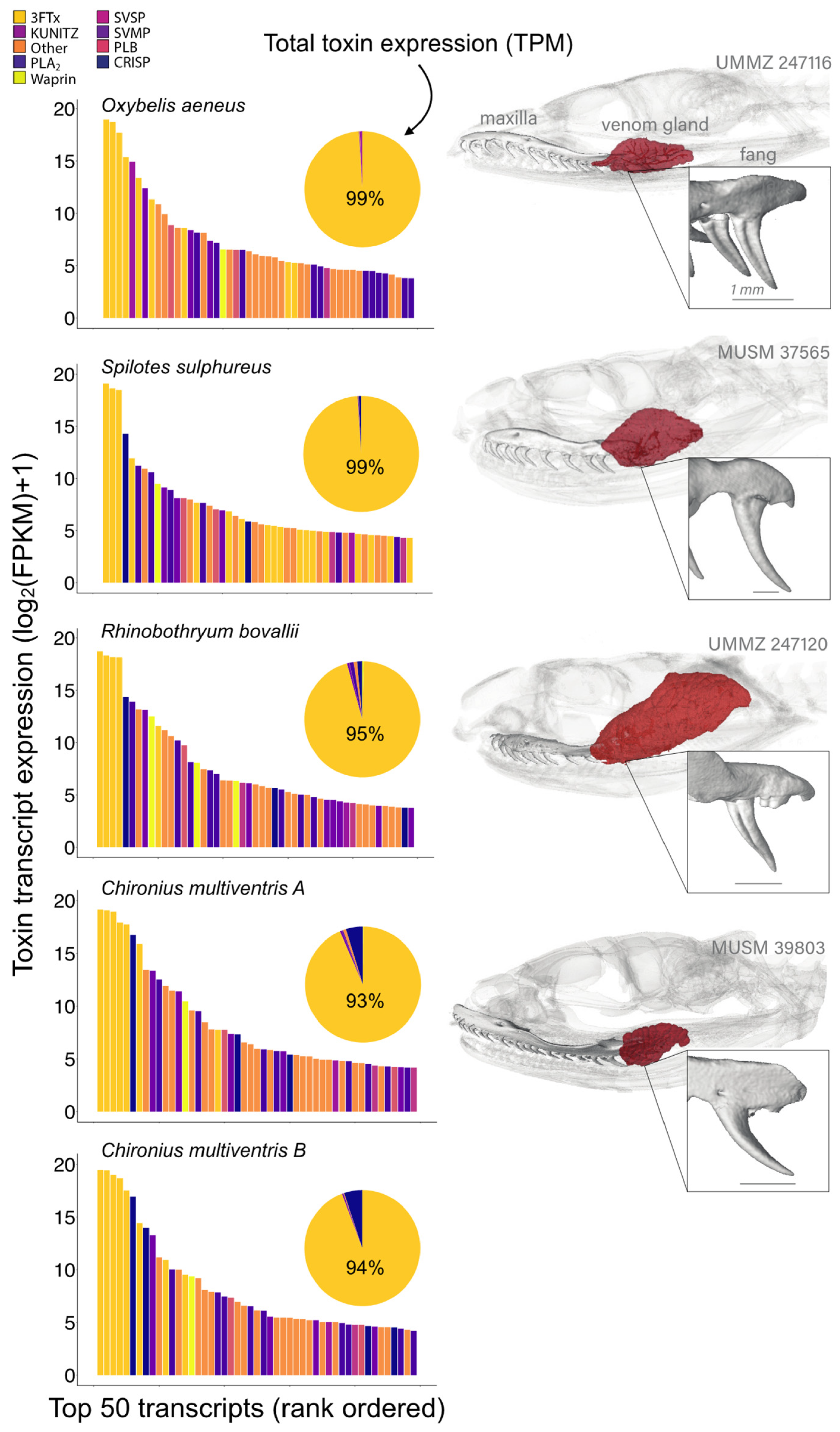 Toxins 15 00523 g002