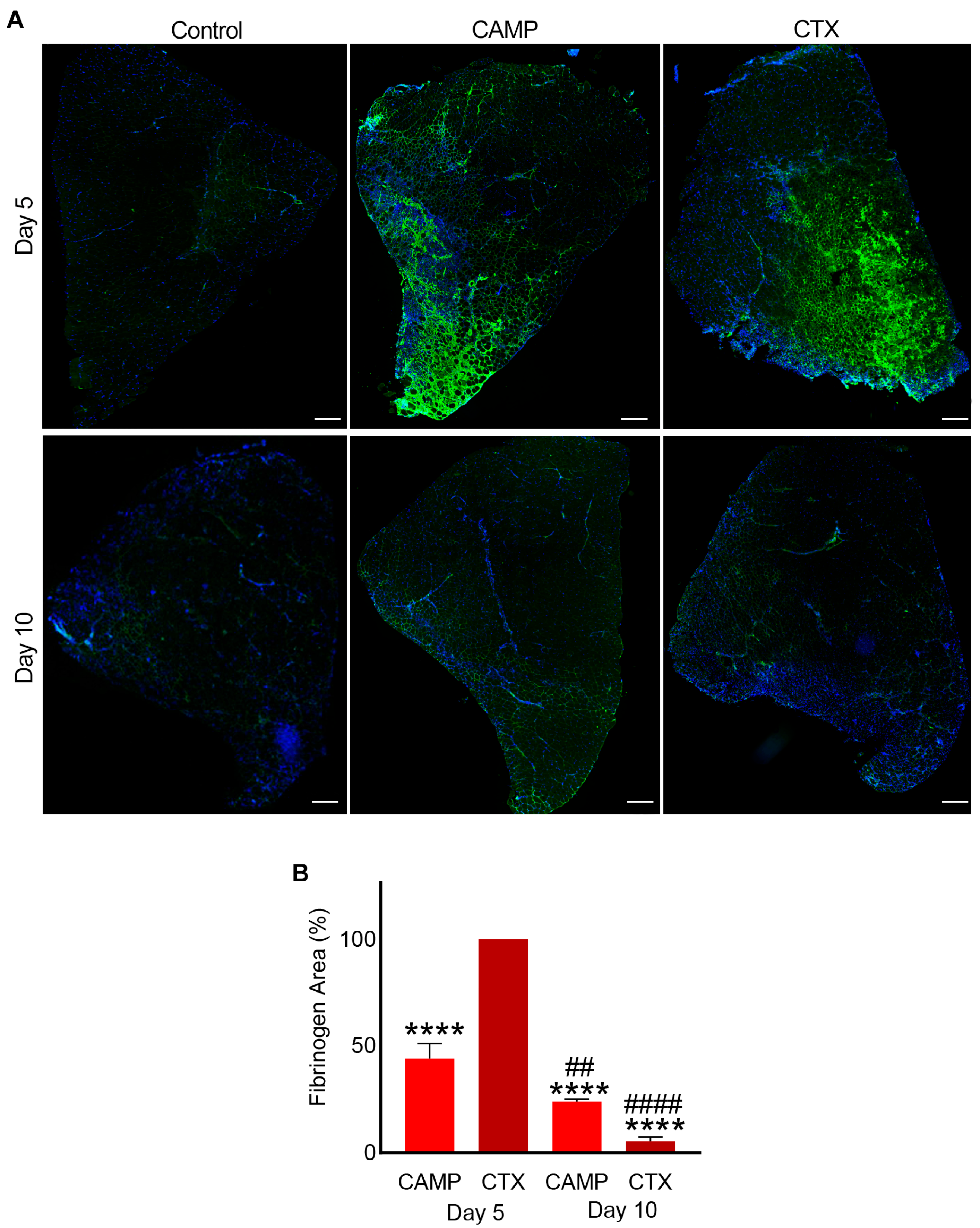 Toxins 15 00530 g002