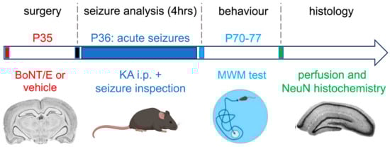 Toxins 15 00550 g001